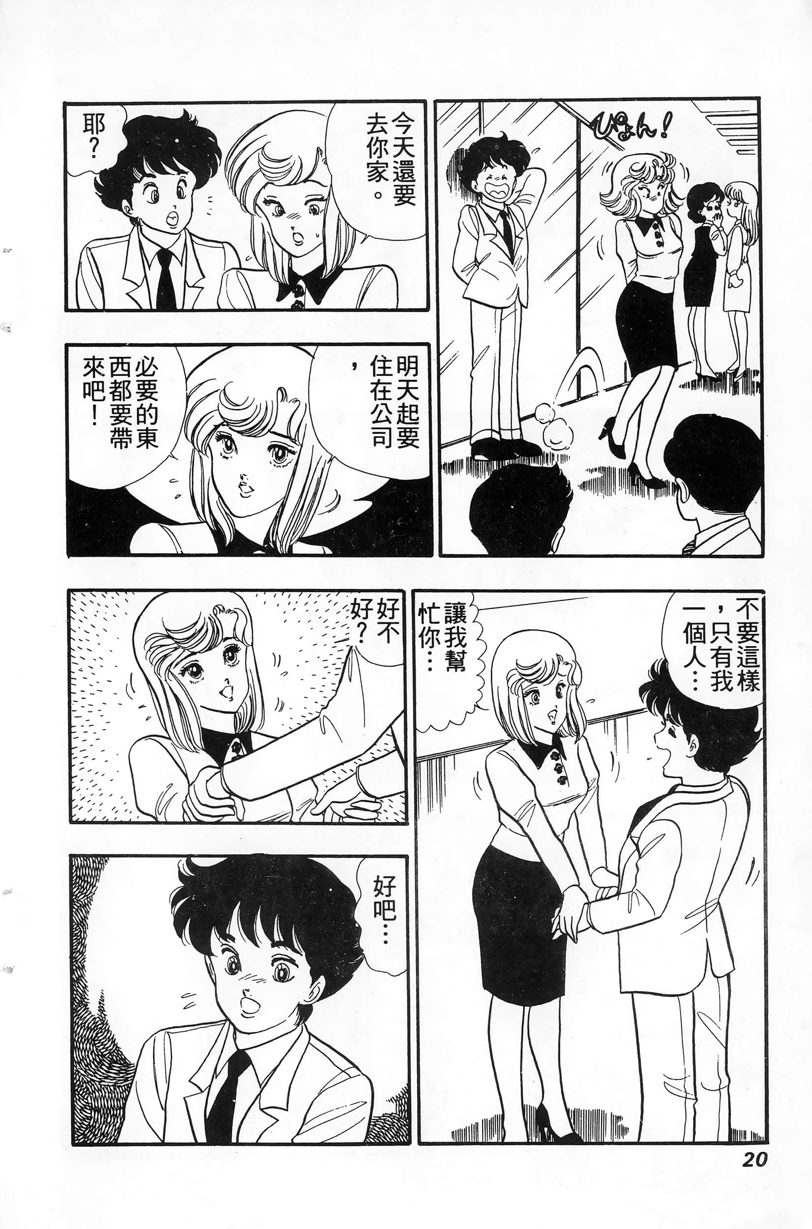 第 20 页