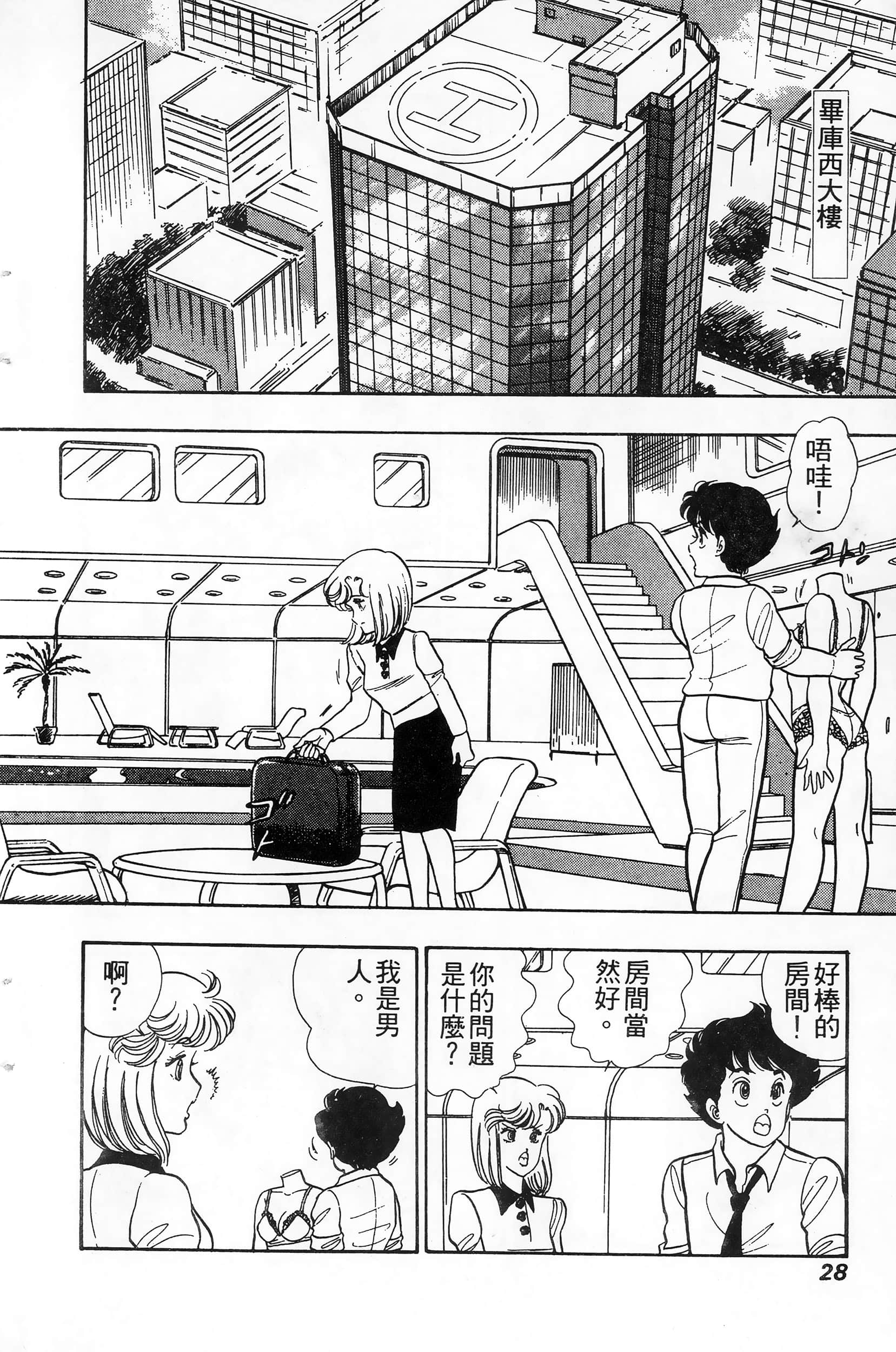 第 28 页