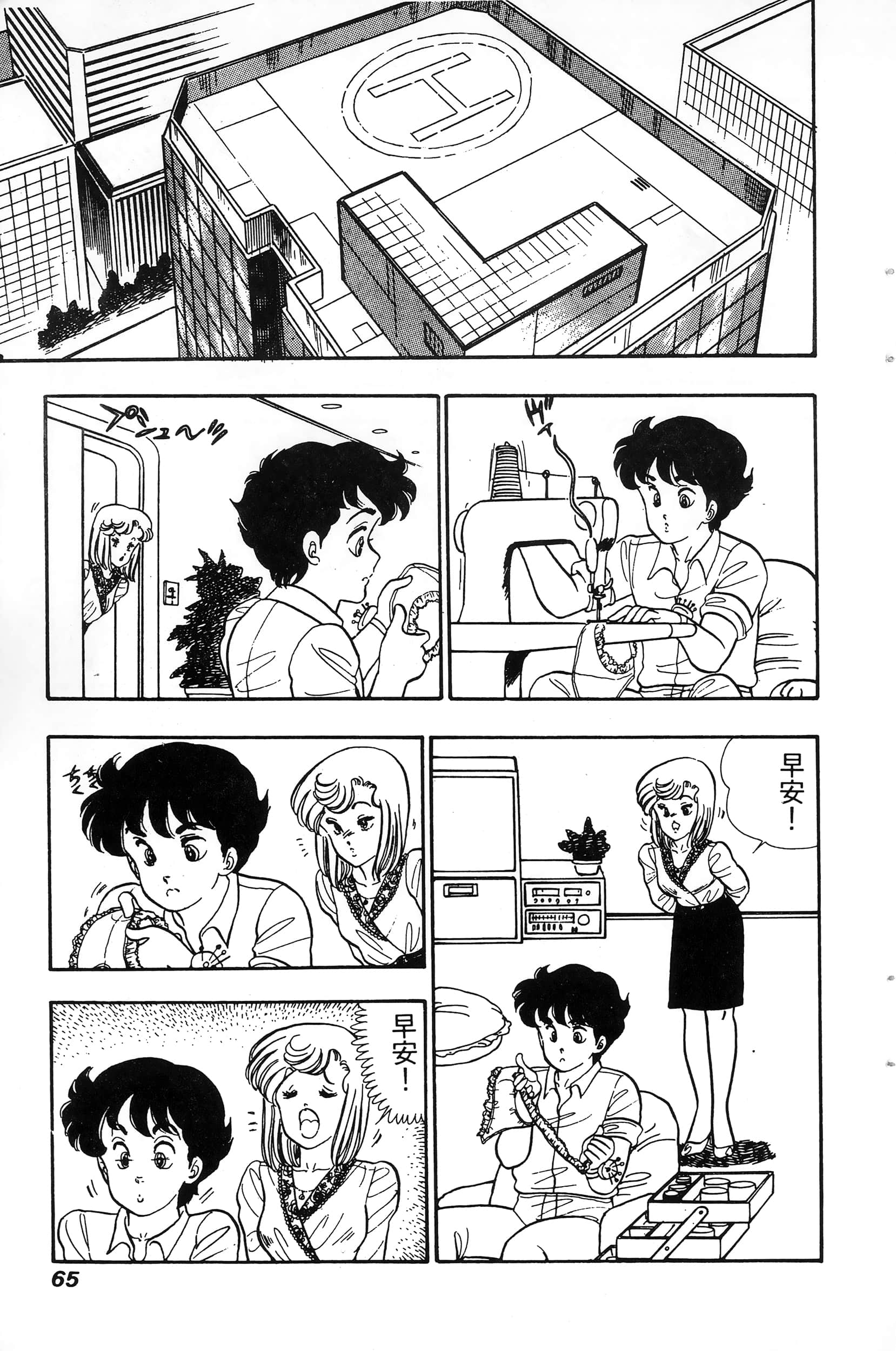 第 65 页