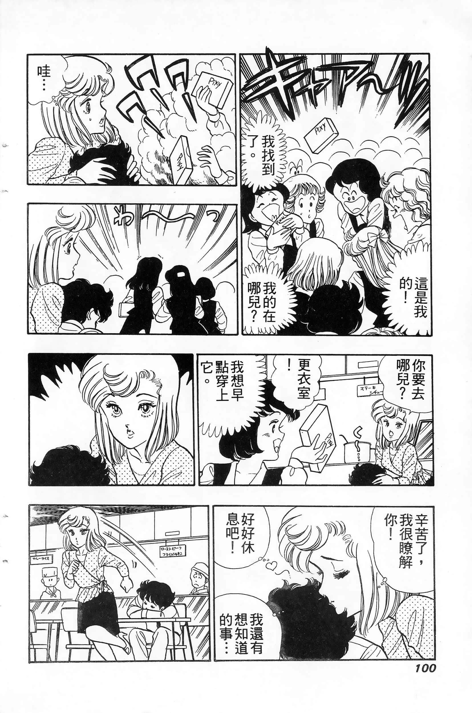 第 100 页
