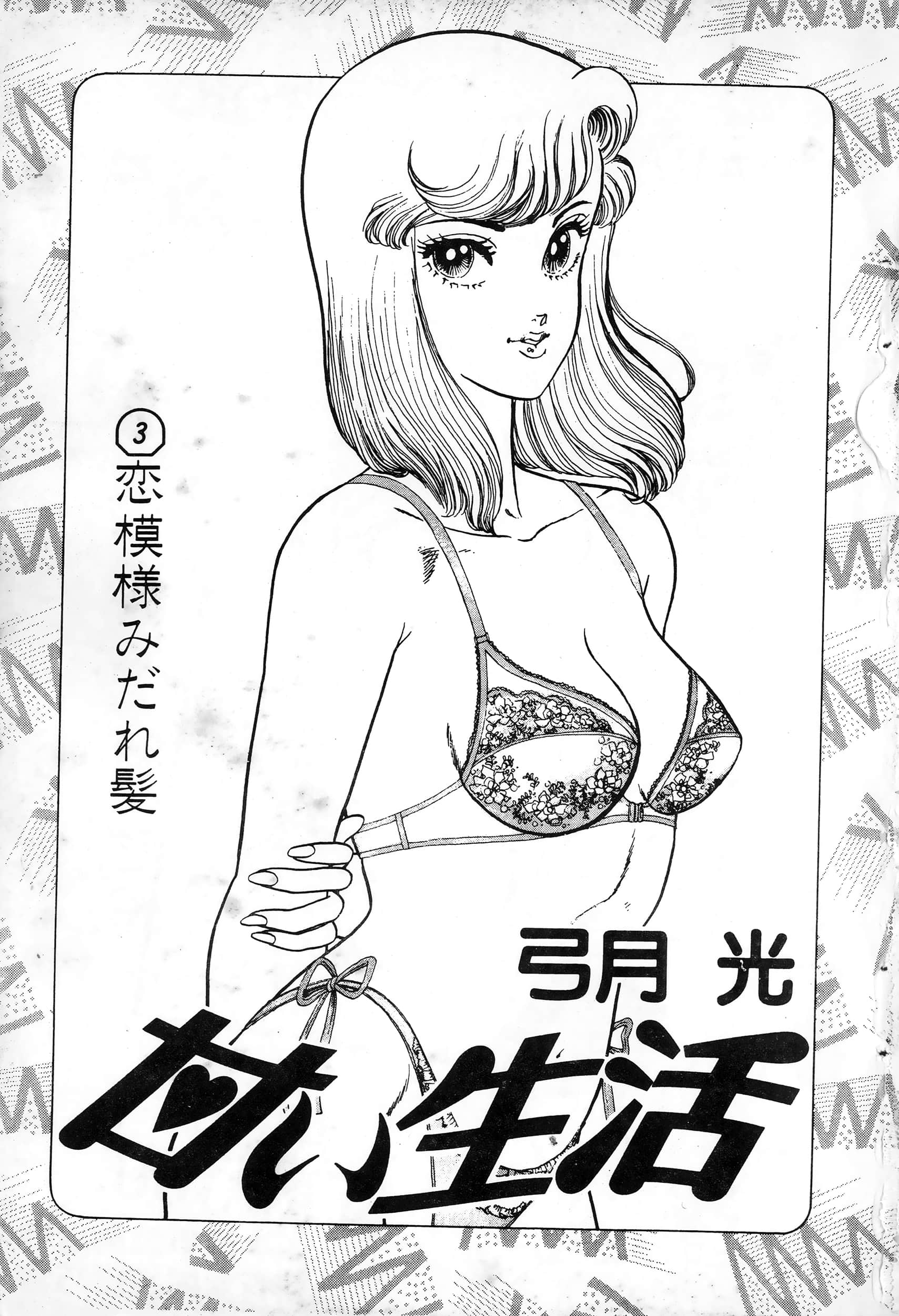 第 3 页