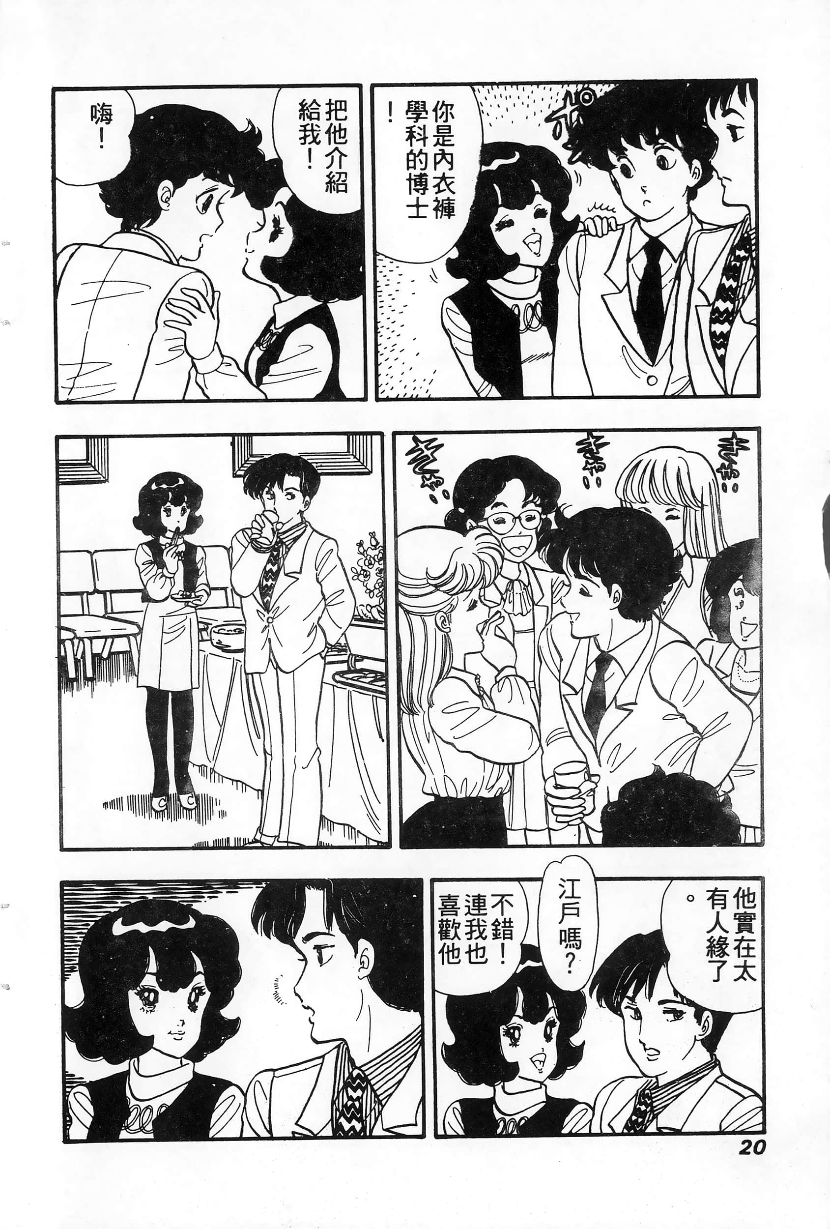 第 20 页