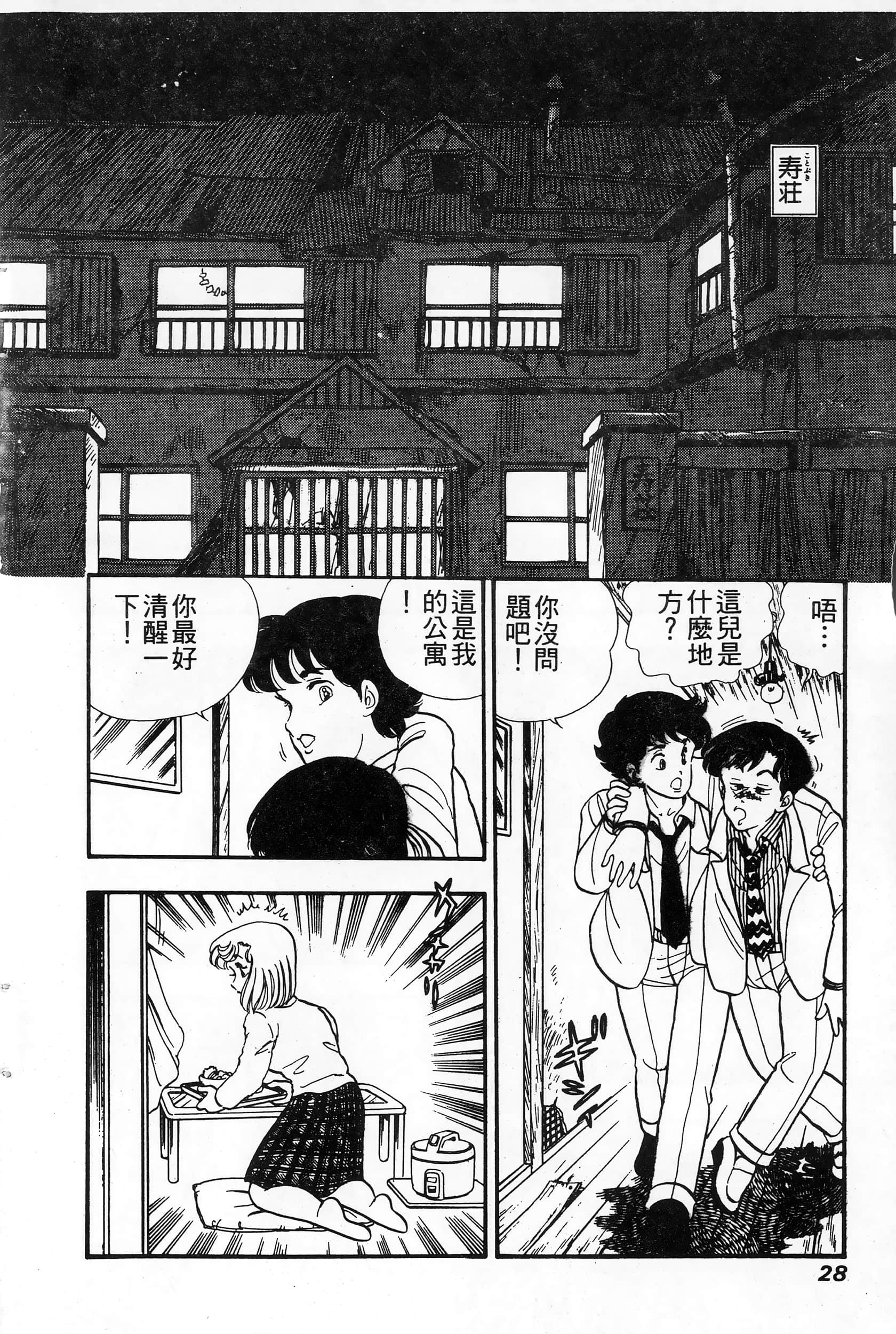 第 28 页