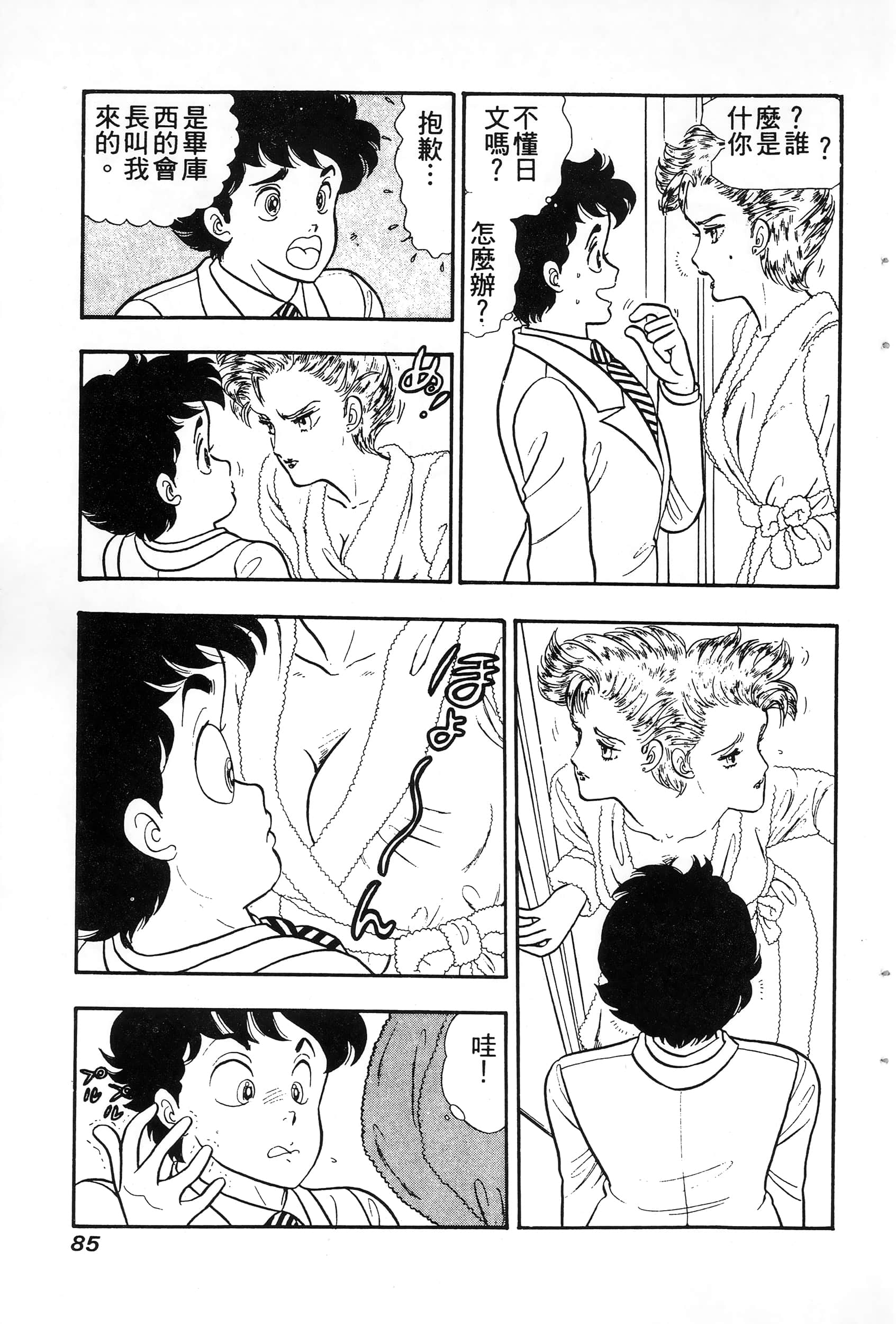第 85 页