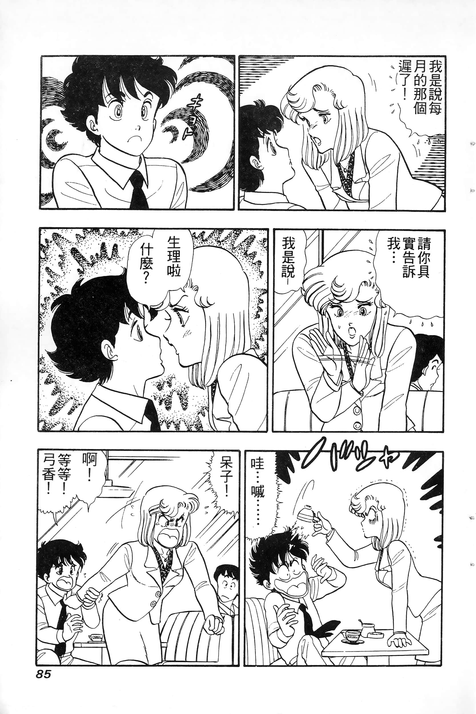 第 85 页