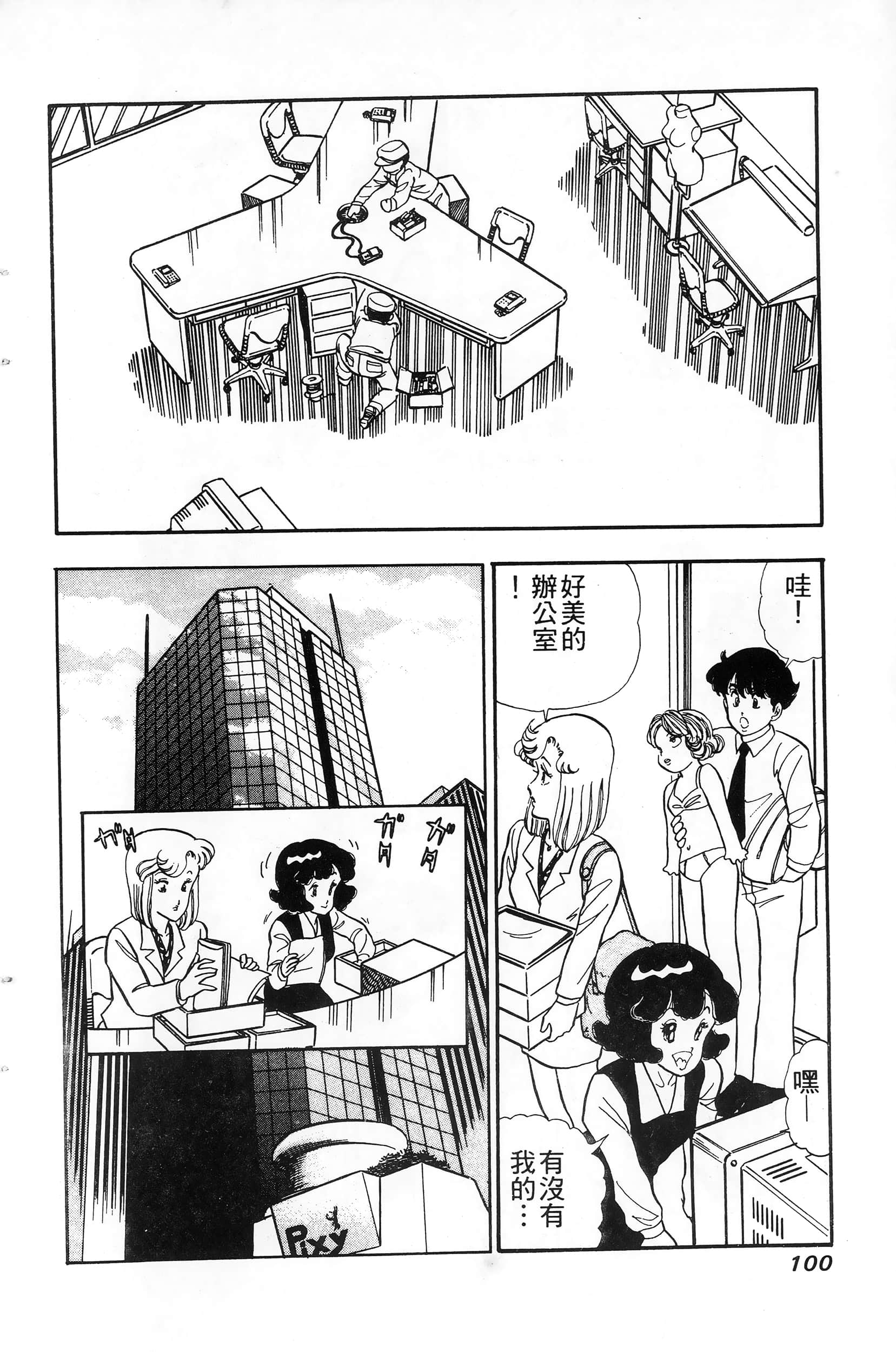 第 100 页