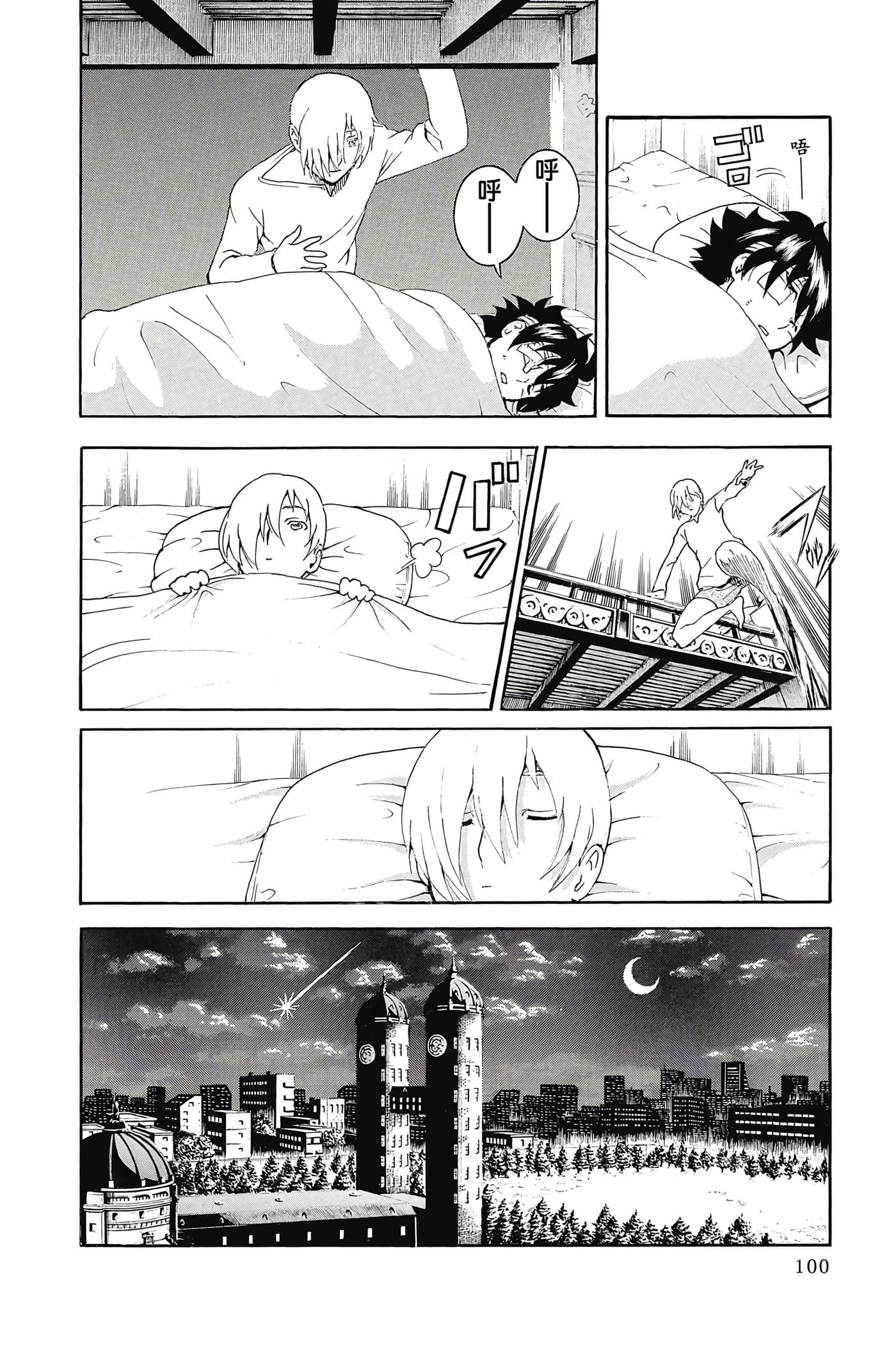 Page 101