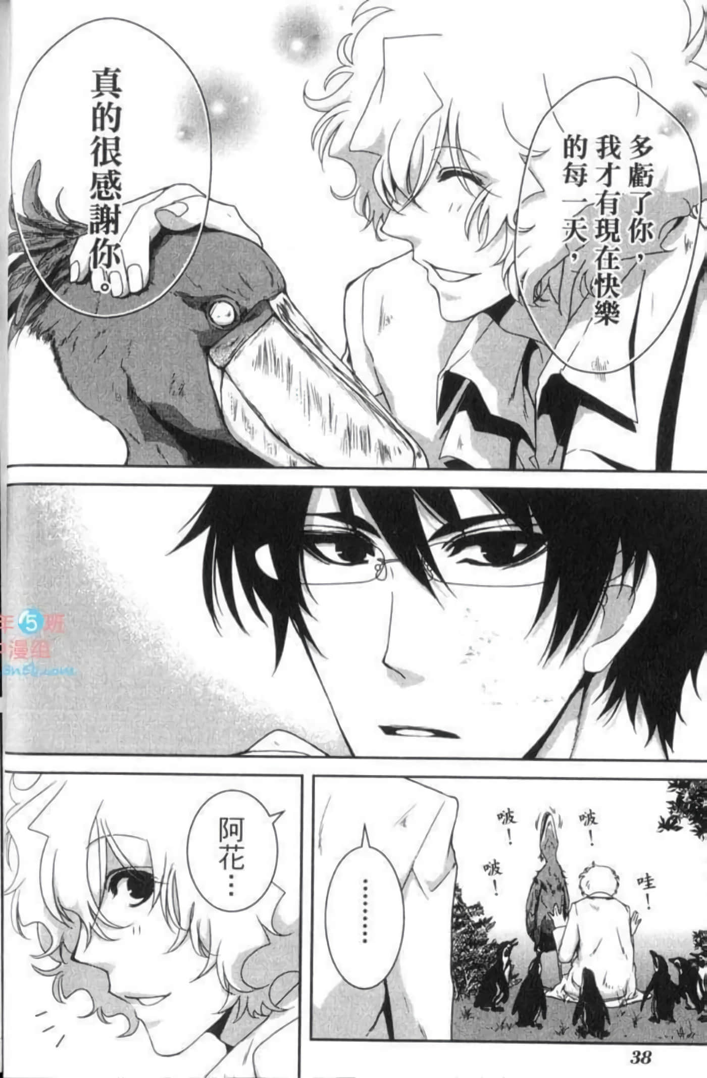 Page 41