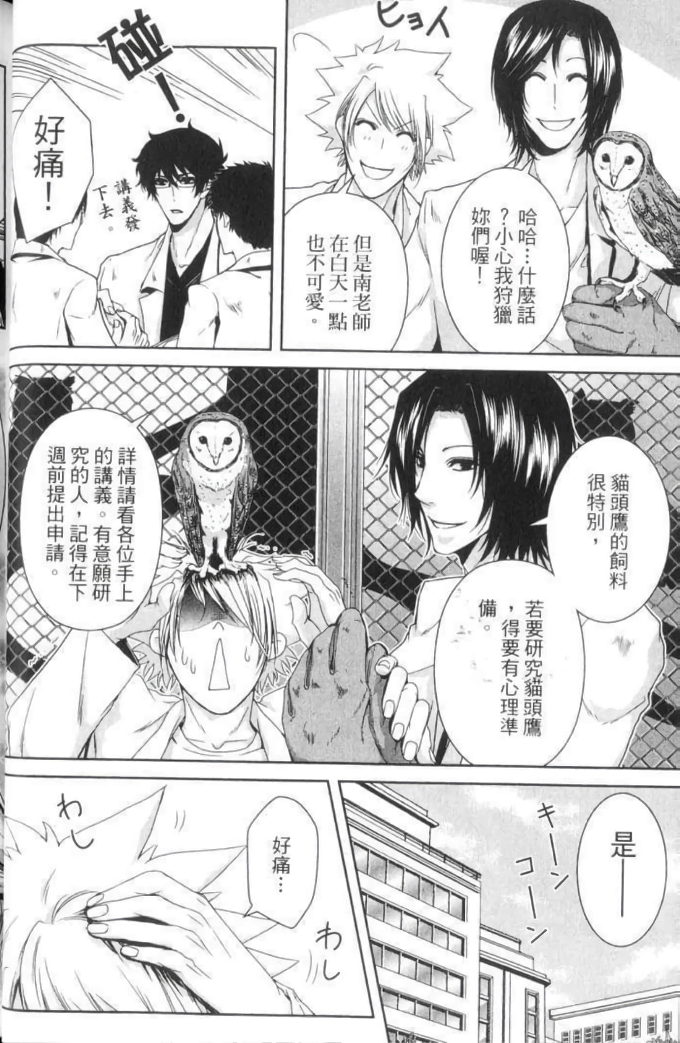 Page 51