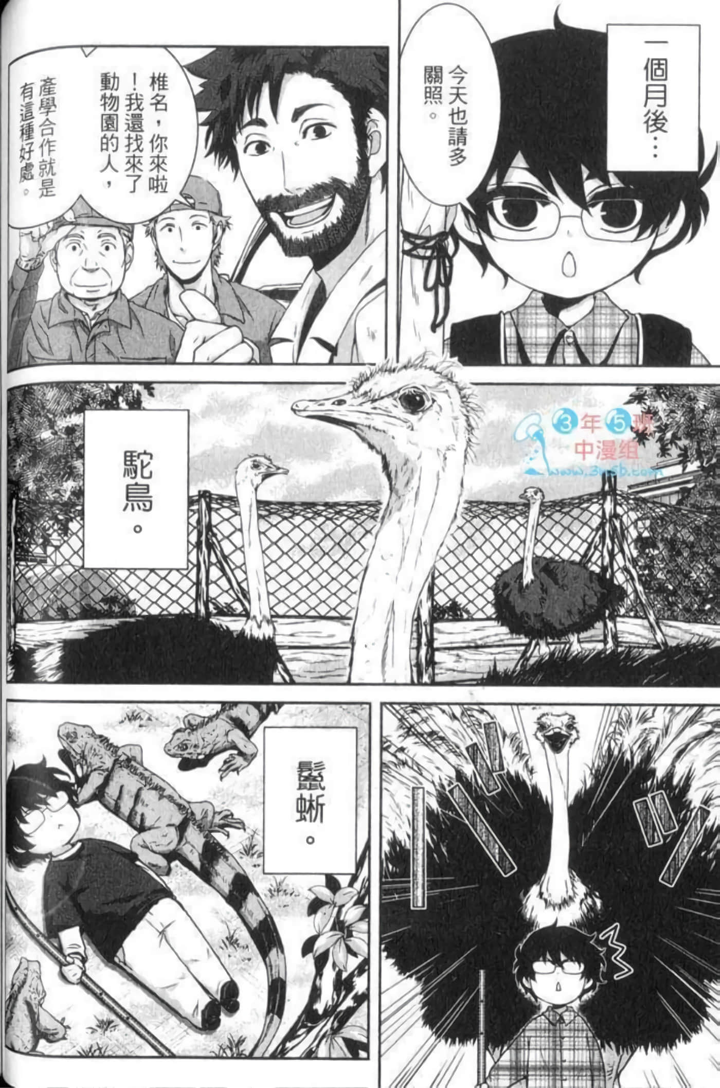 Page 117