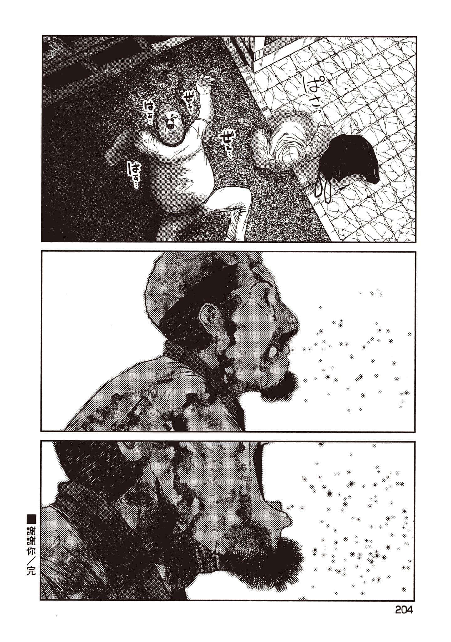 第 205 页