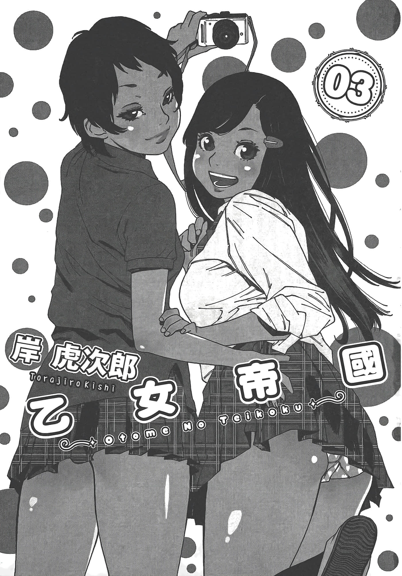 Page 3