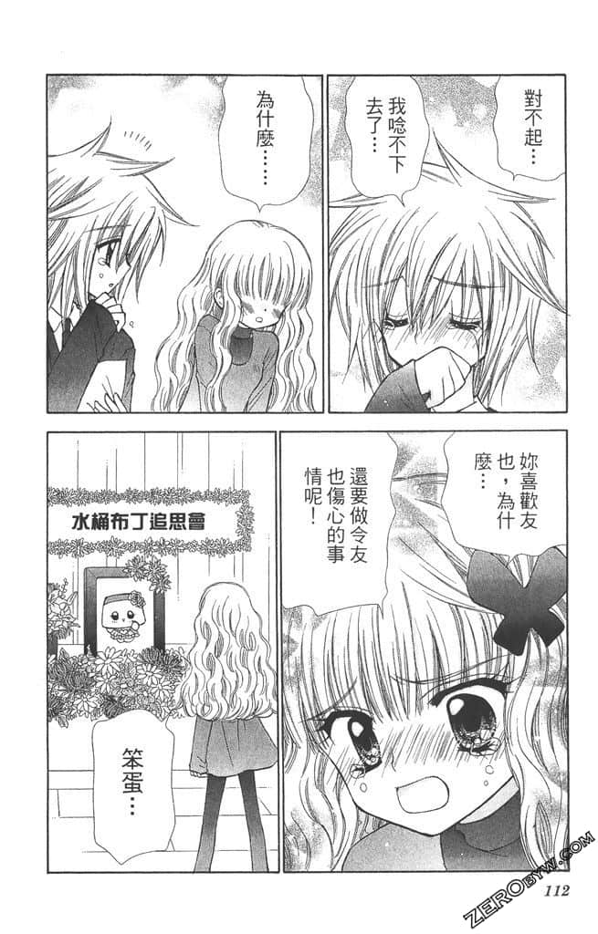 Page 111