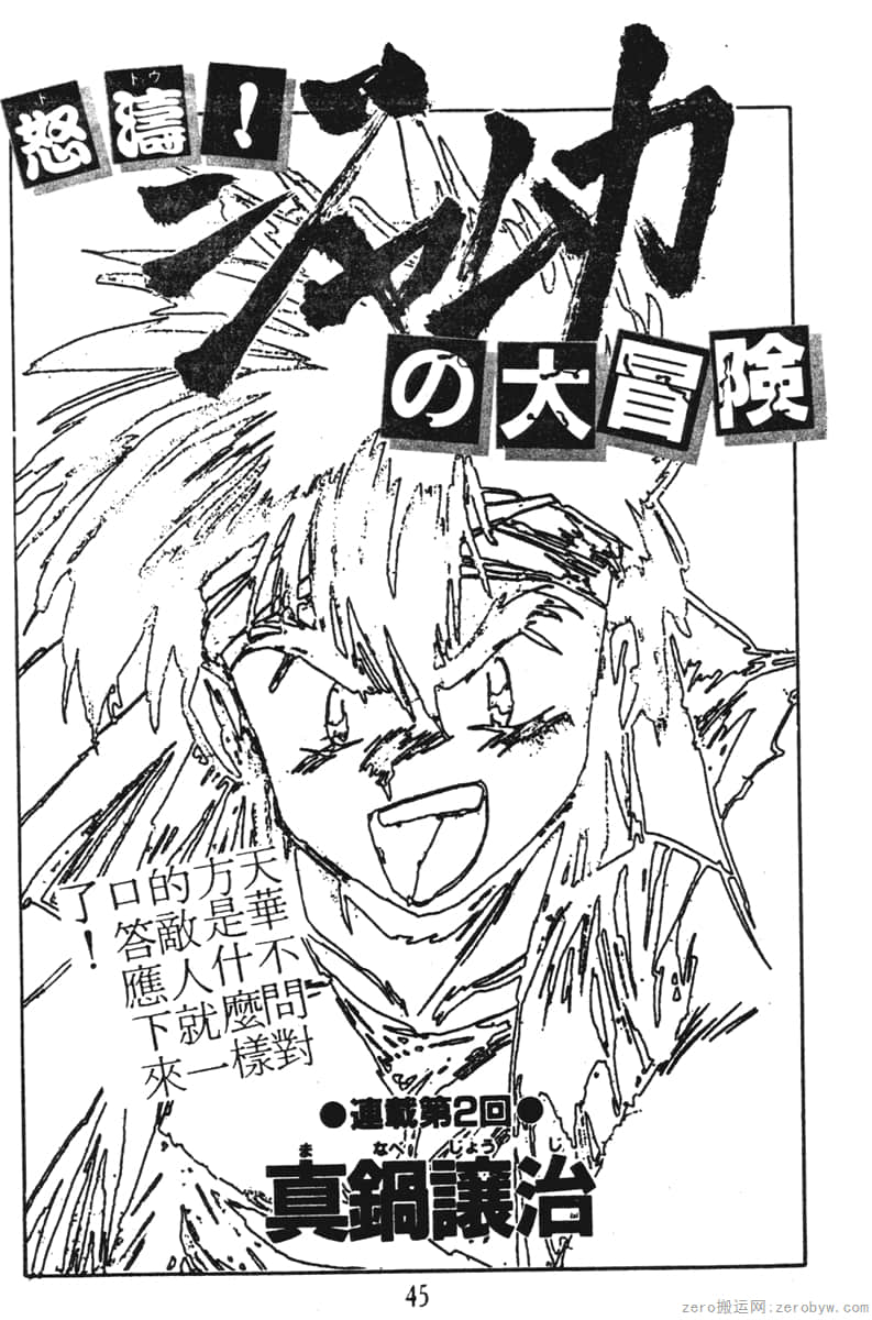 Page 45