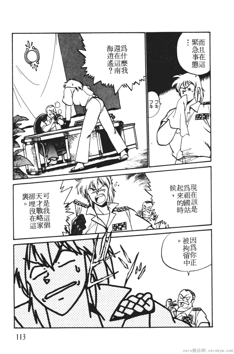 Page 113