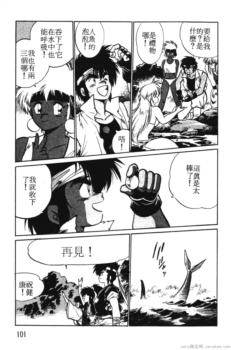 Page 101
