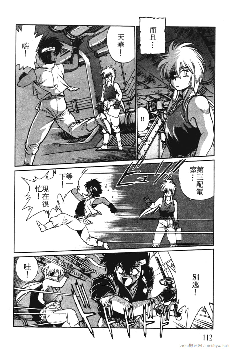 Page 112
