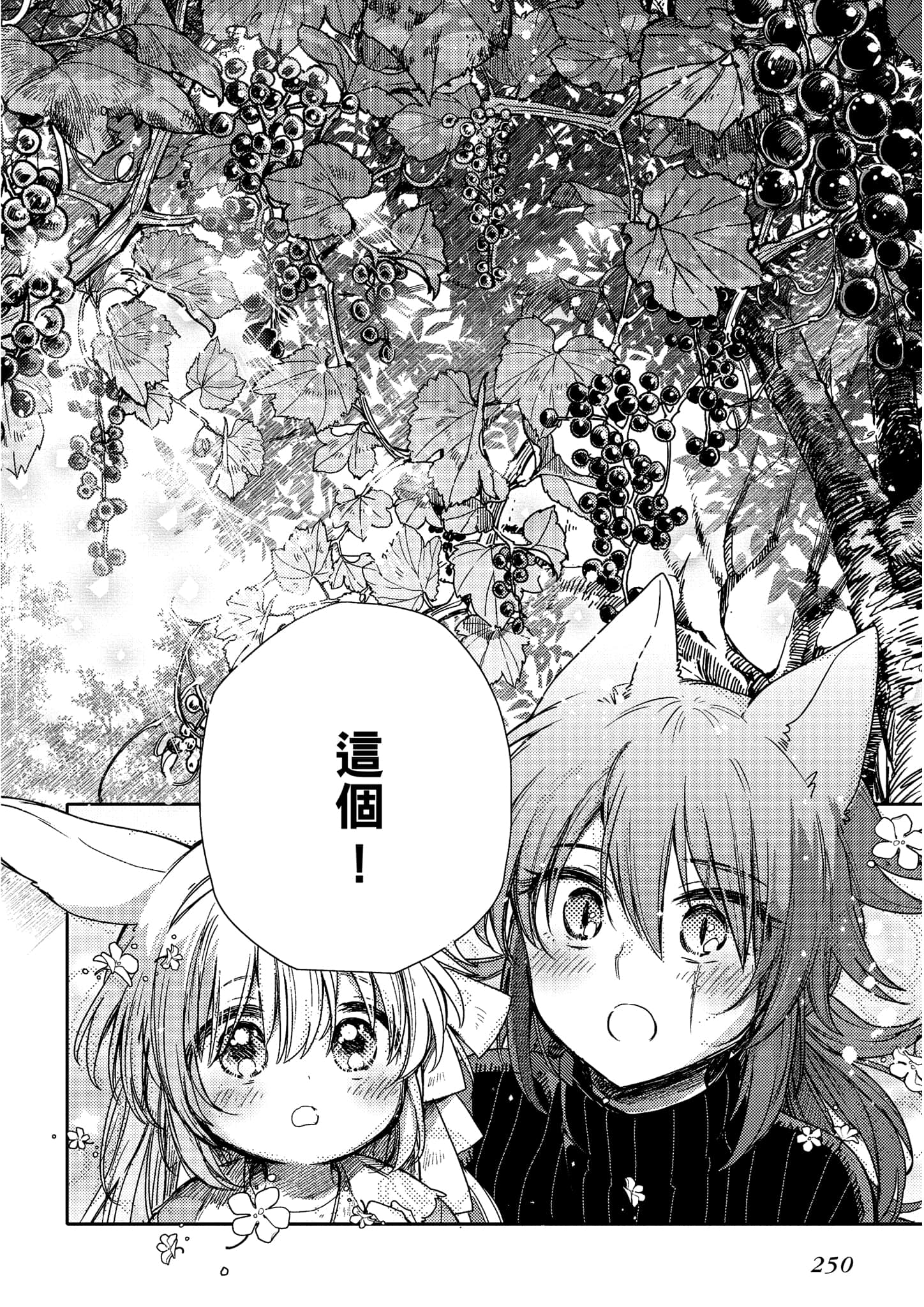 Page 251