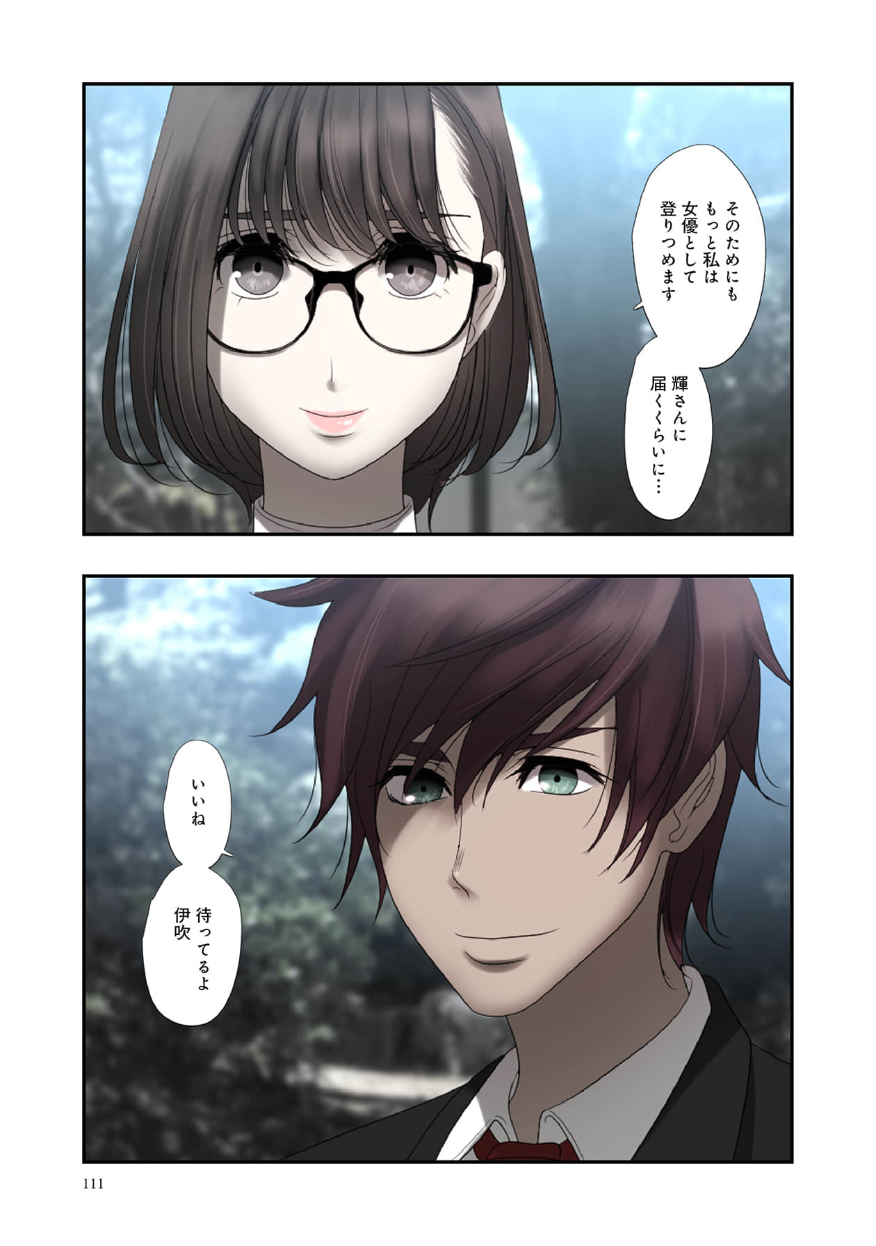Page 111