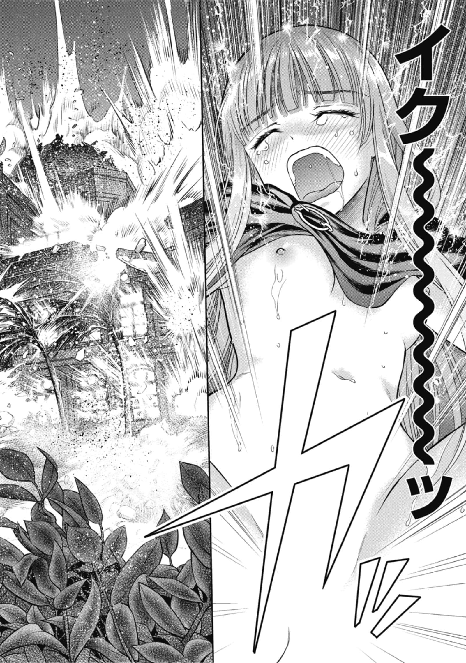第 74 页