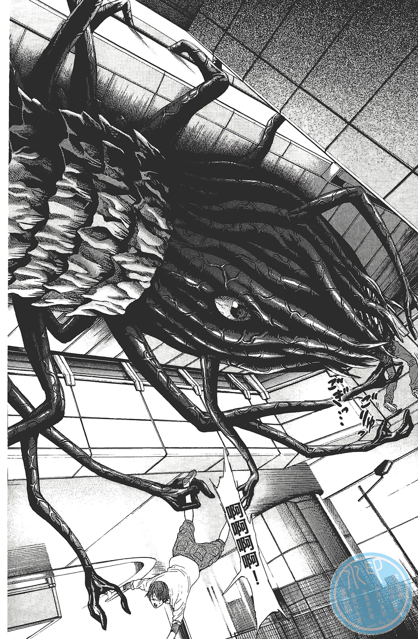 第 27 页