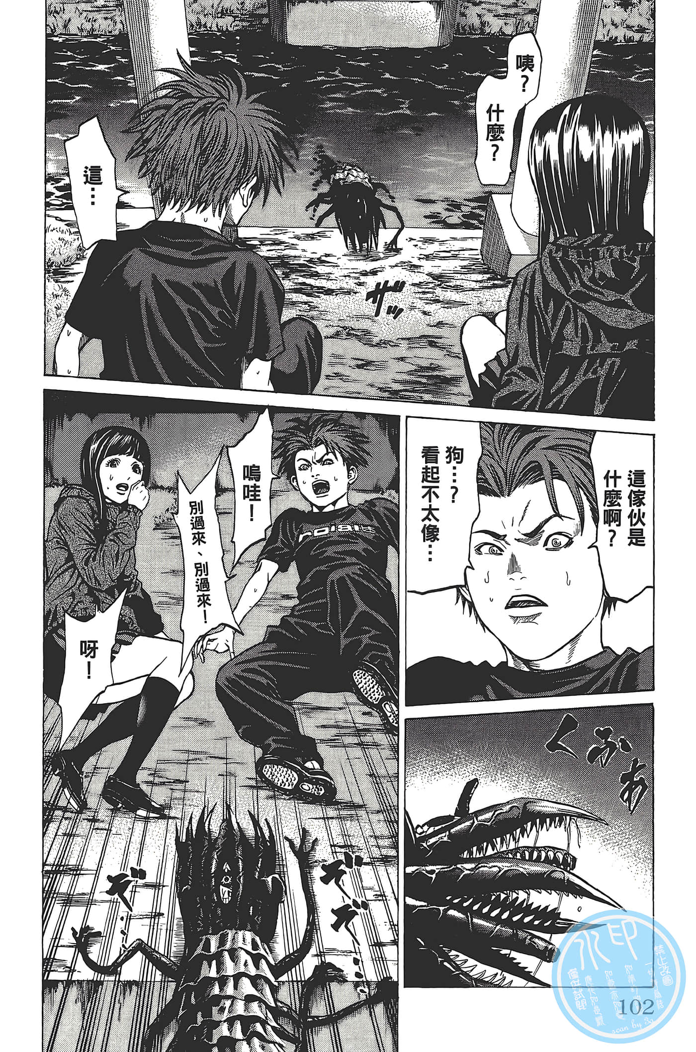 Page 101