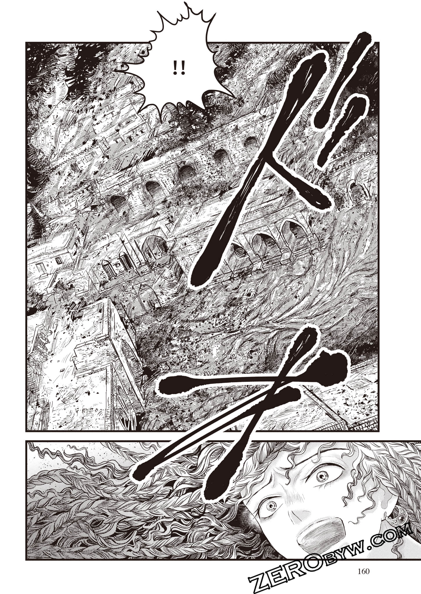 第 161 页