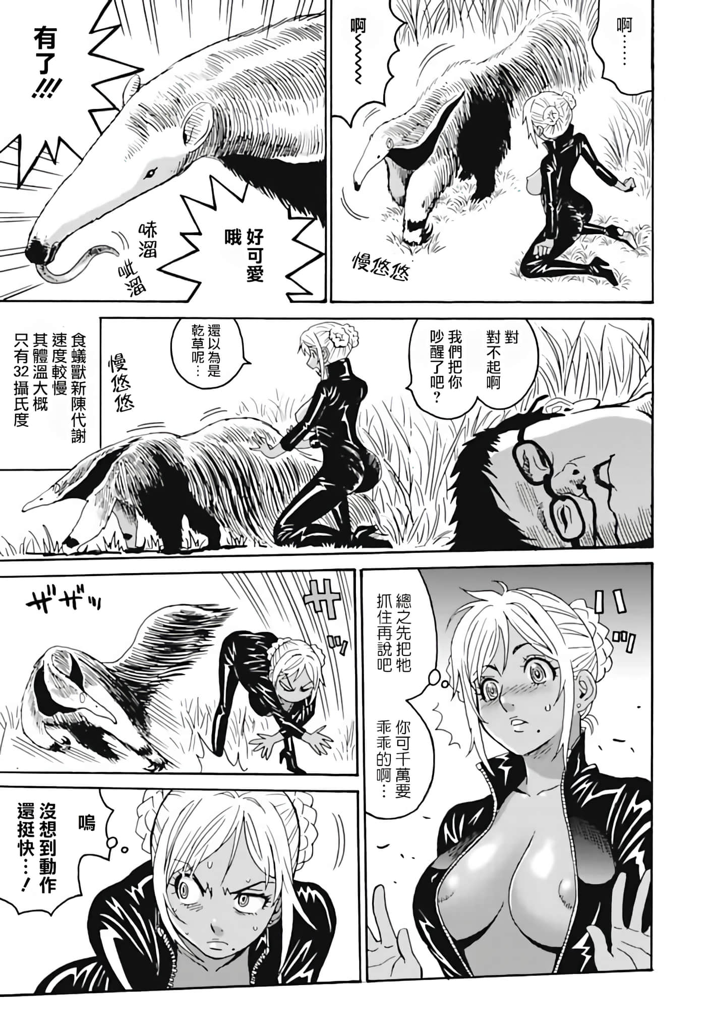 第 17 页