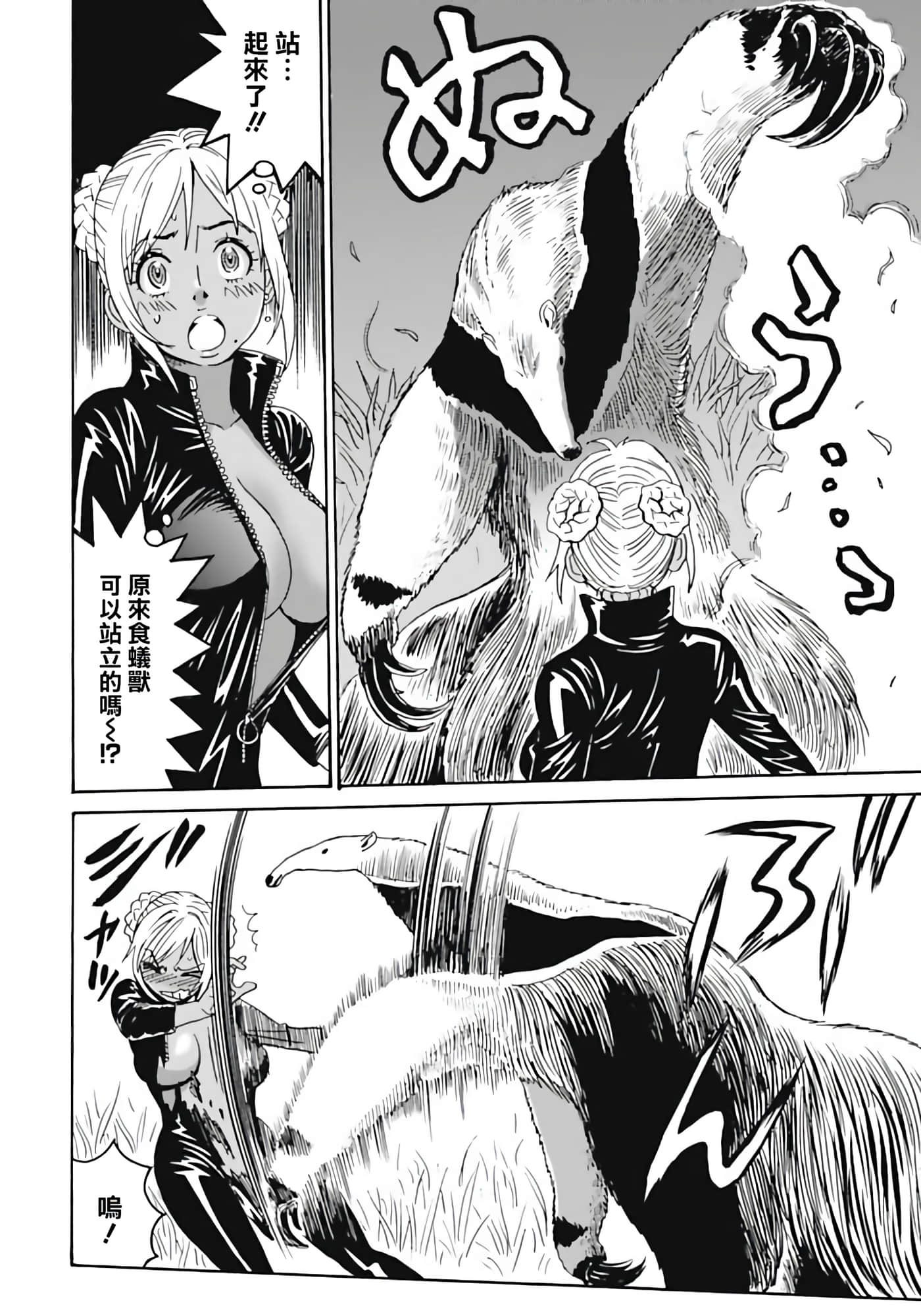 第 18 页