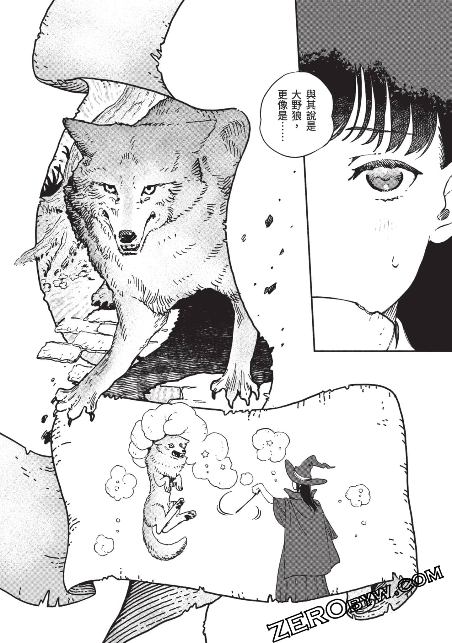 第 63 页
