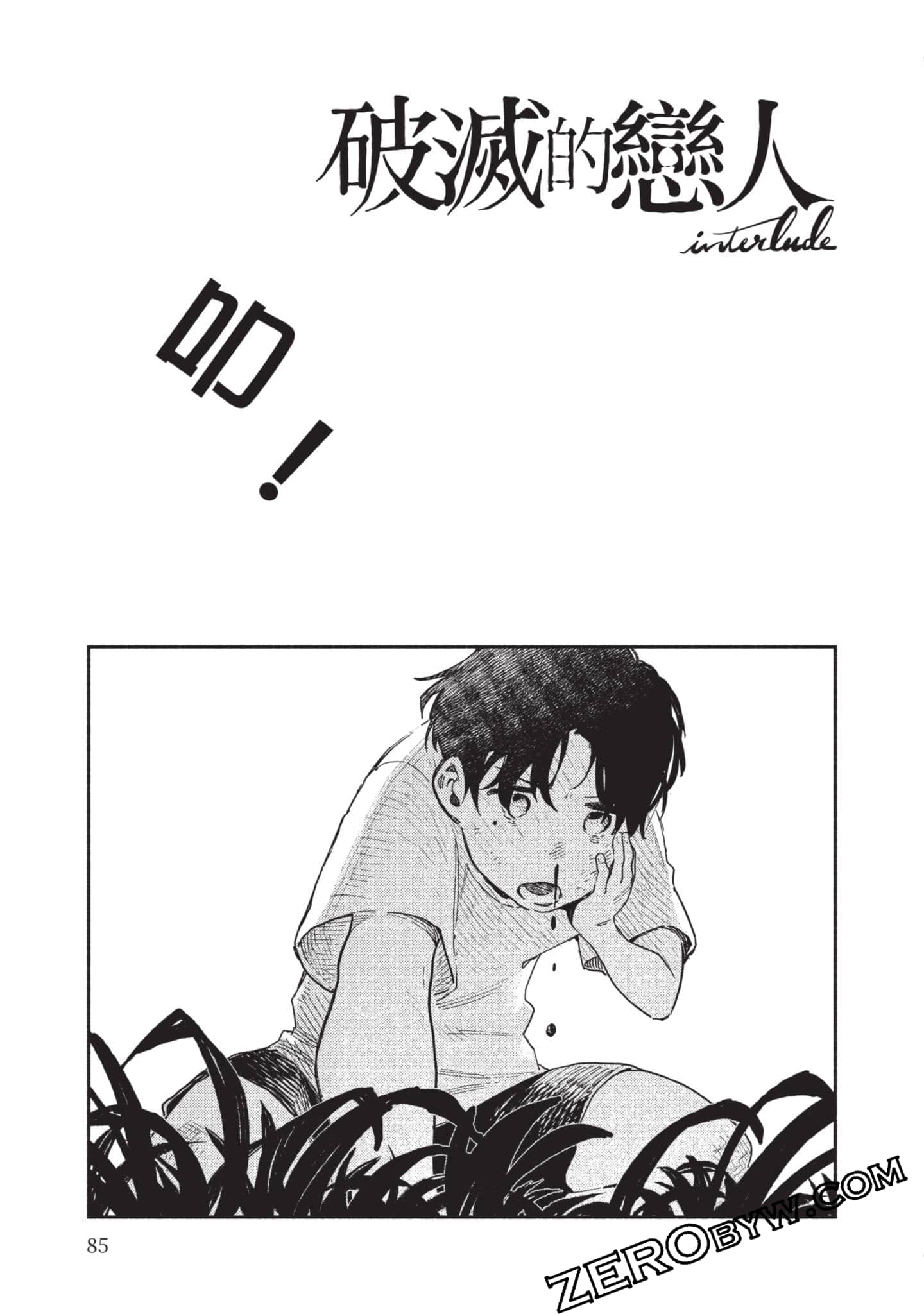 第 86 页