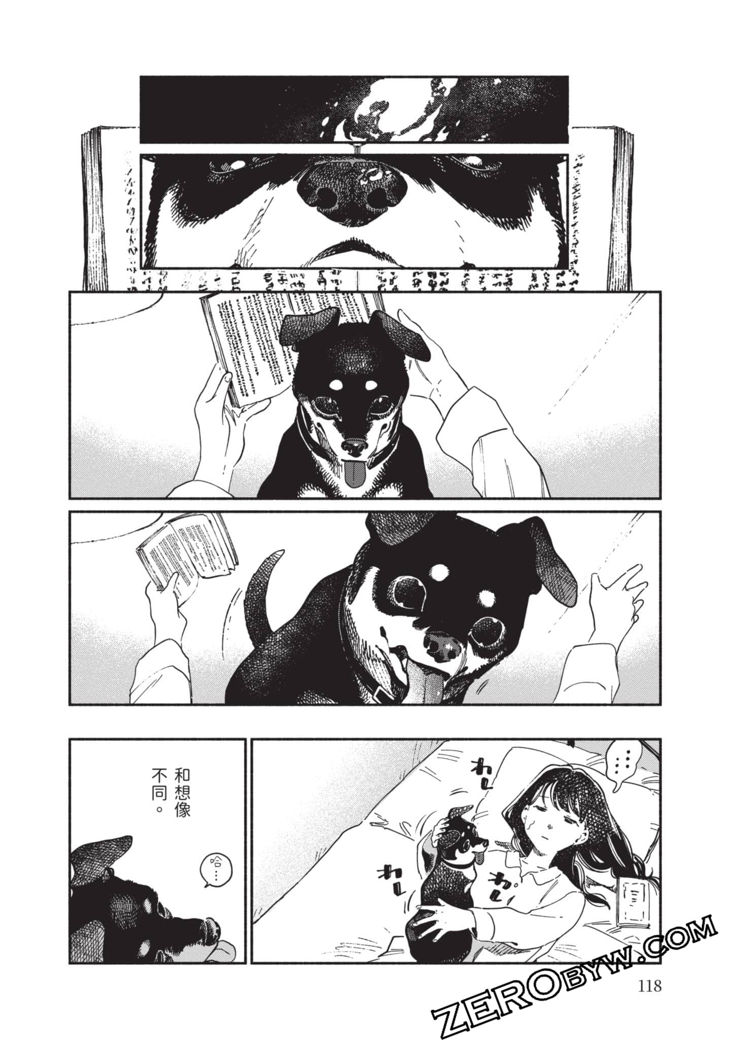 第 119 页
