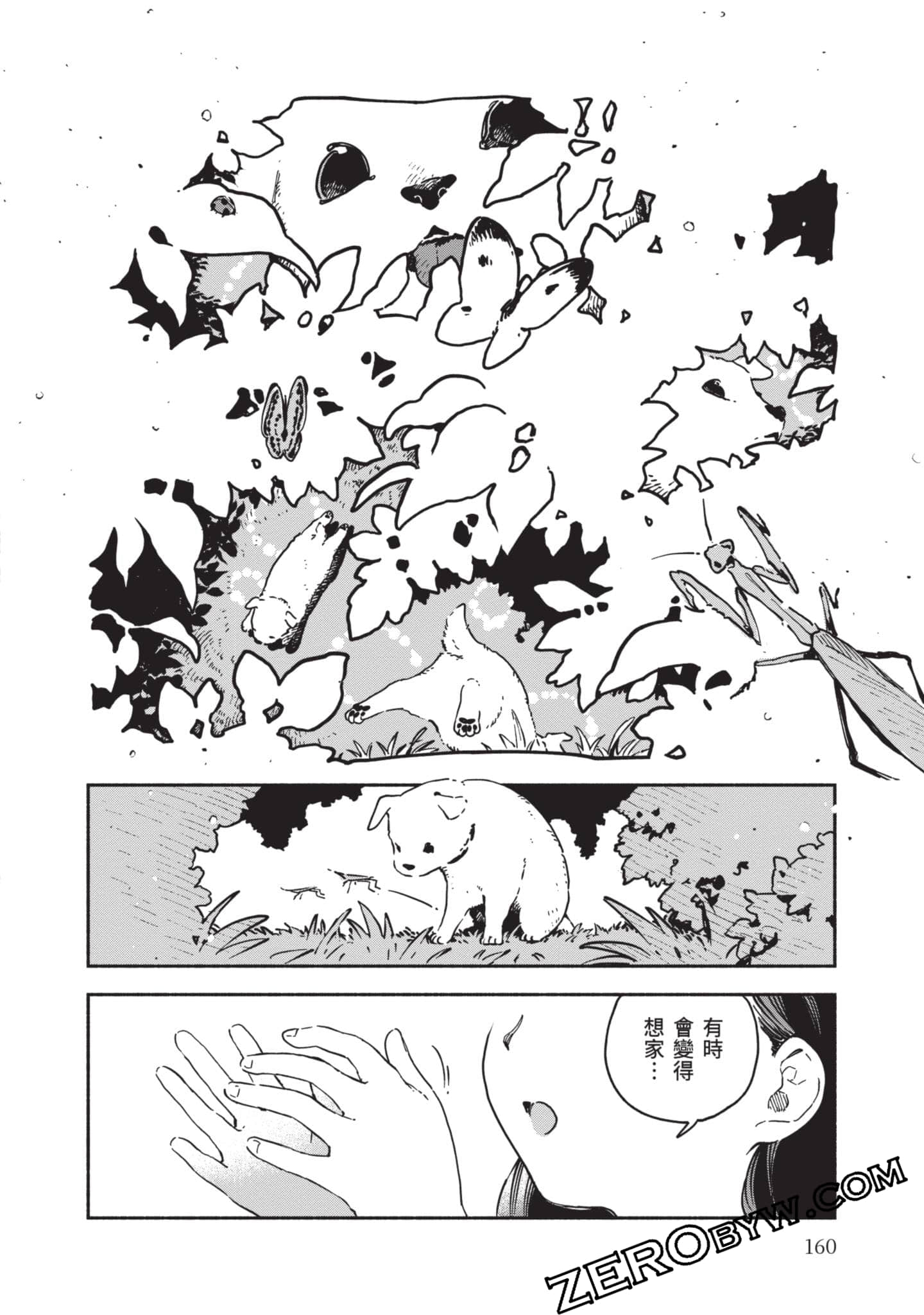 第 161 页