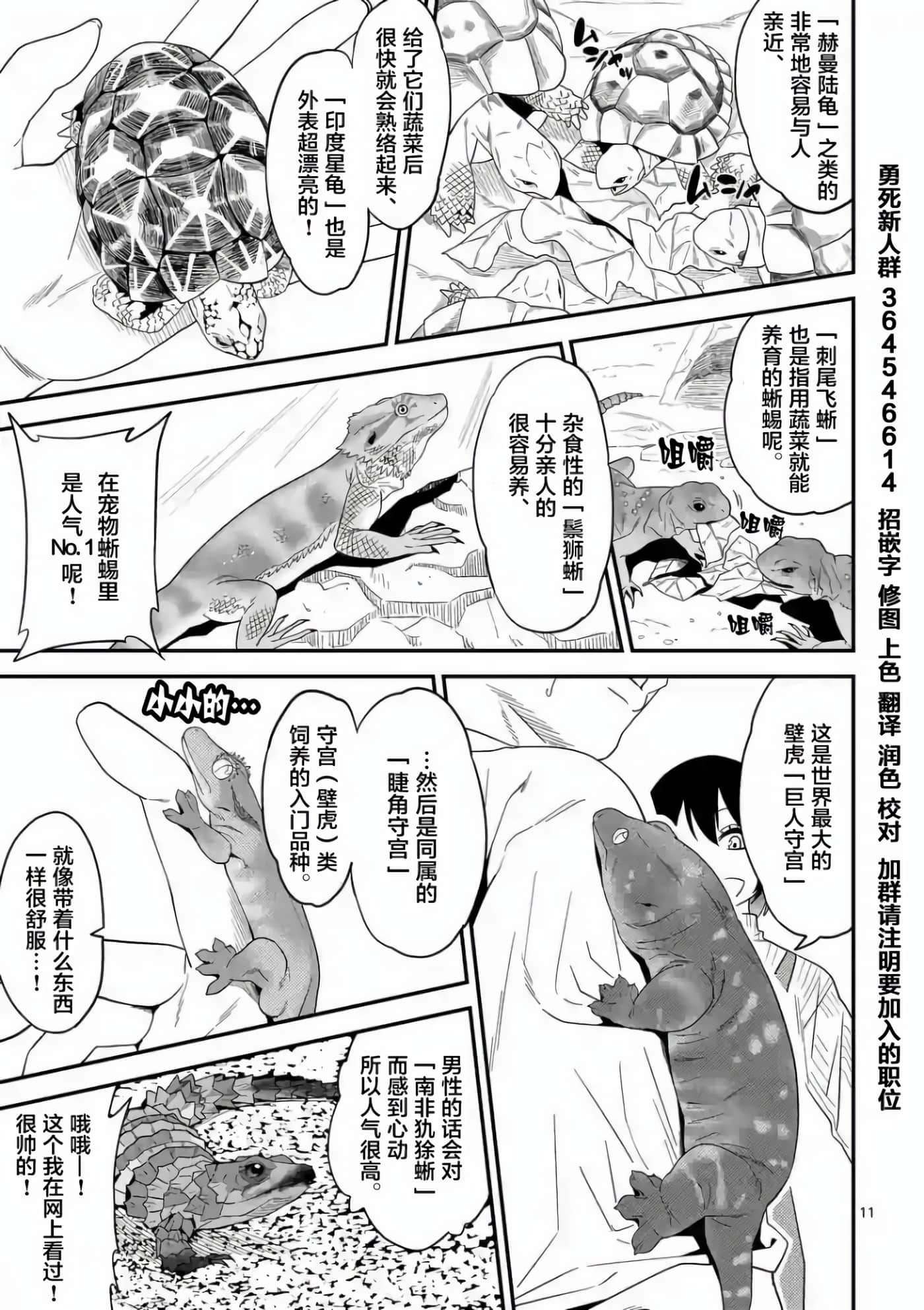 第 11 页