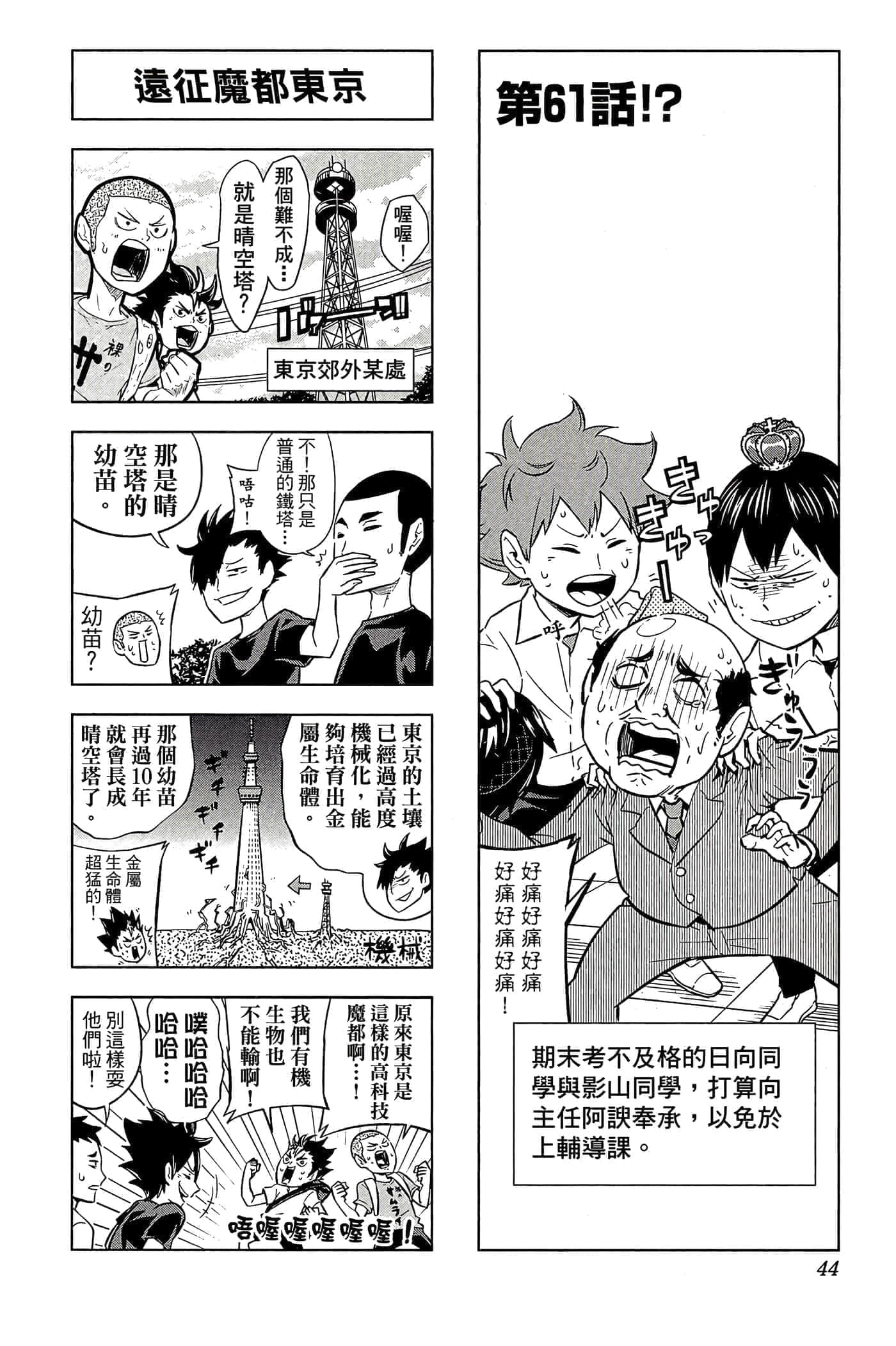第 43 页
