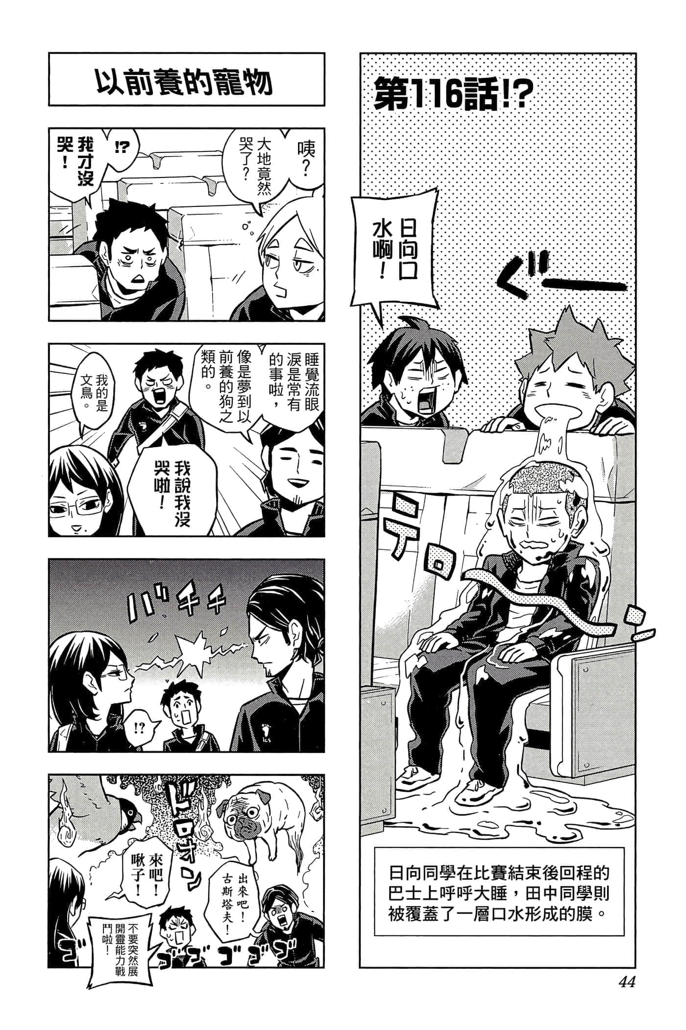 Page 43