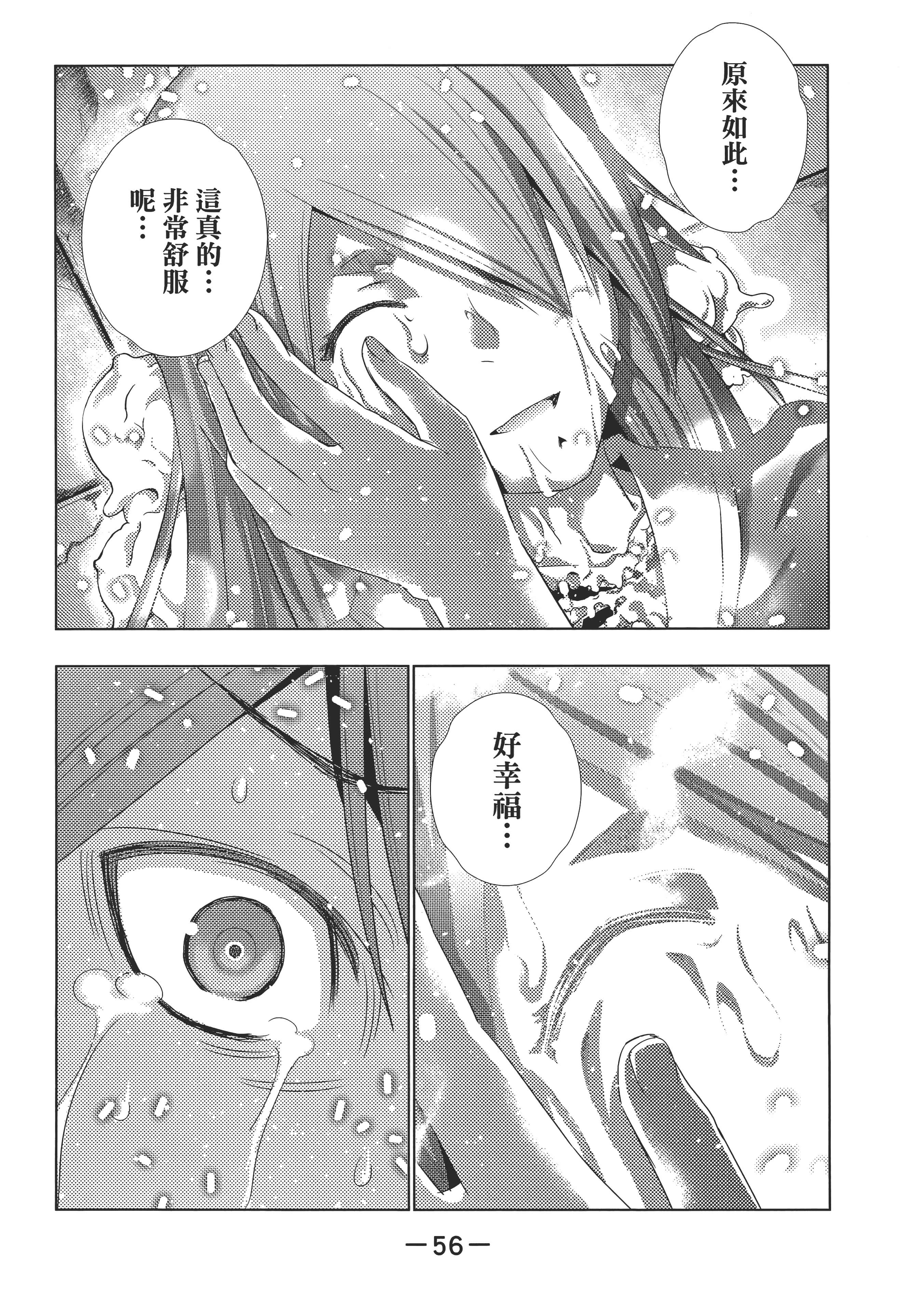 第 60 页