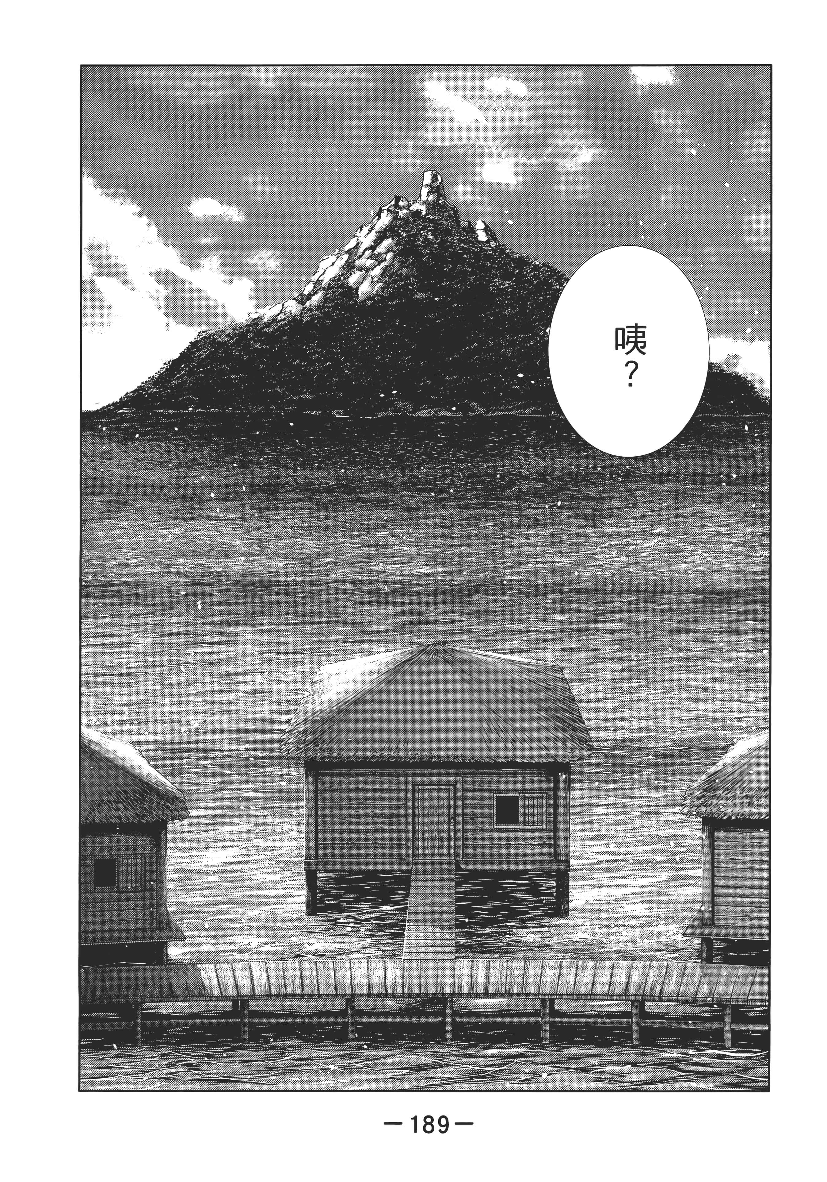 第 193 页