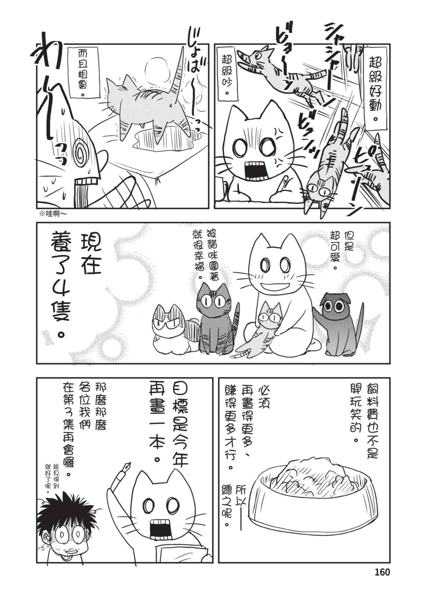 Page 161