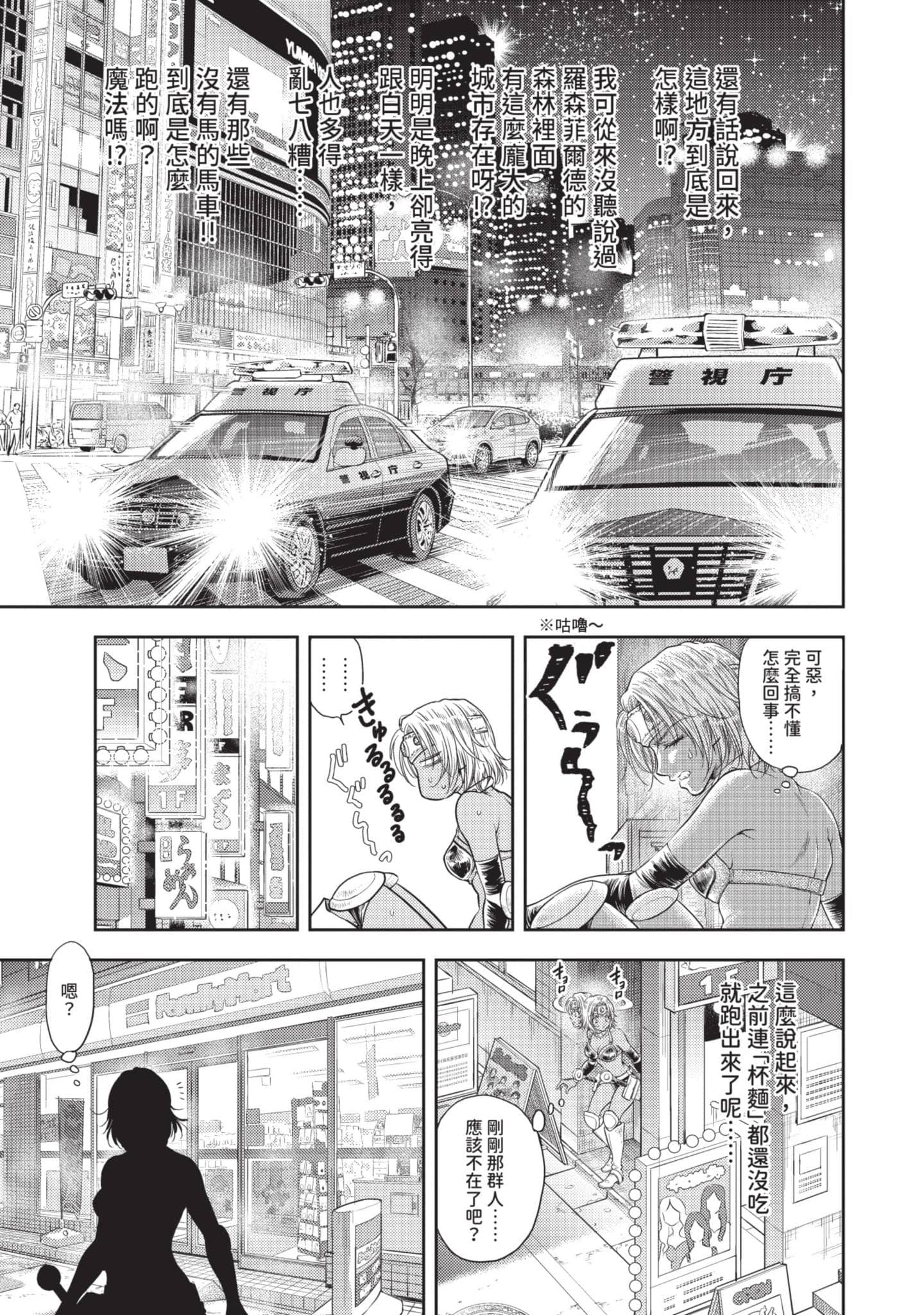 第 12 页