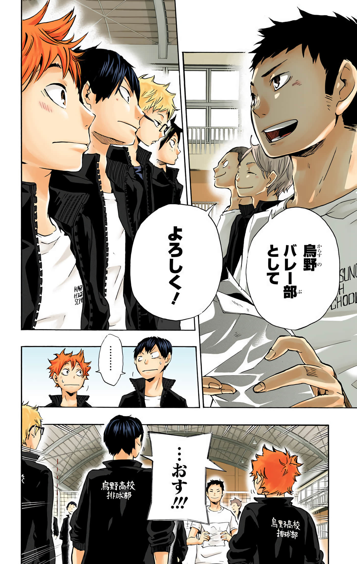 Page 43