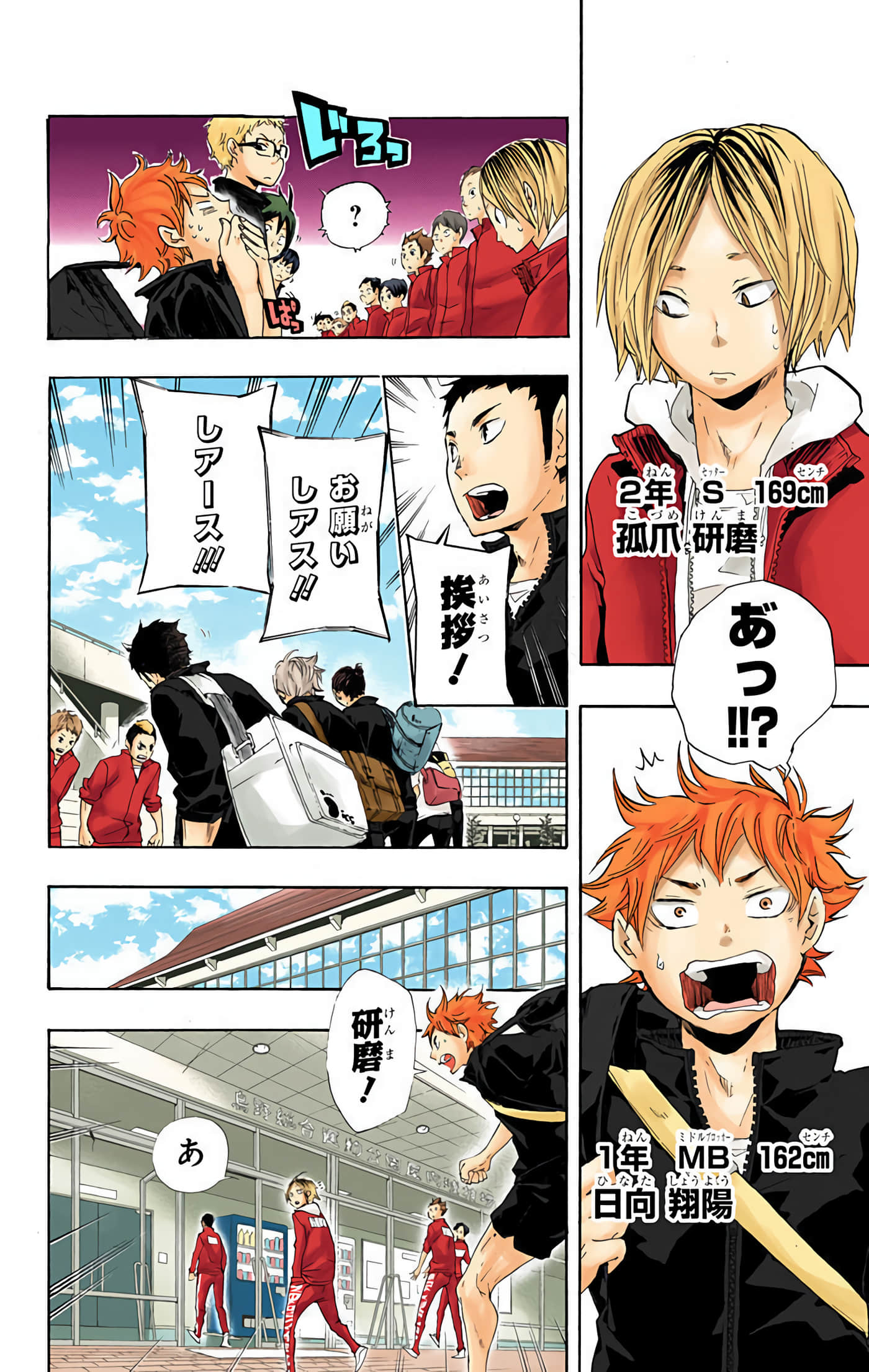 Page 43