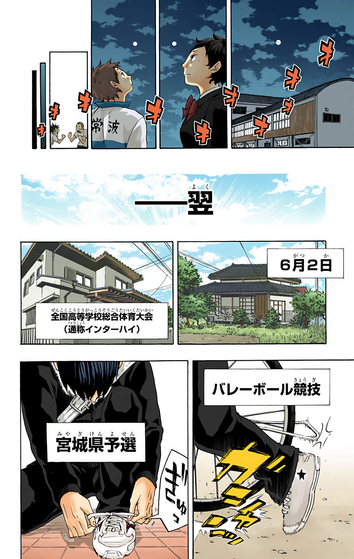 Page 43