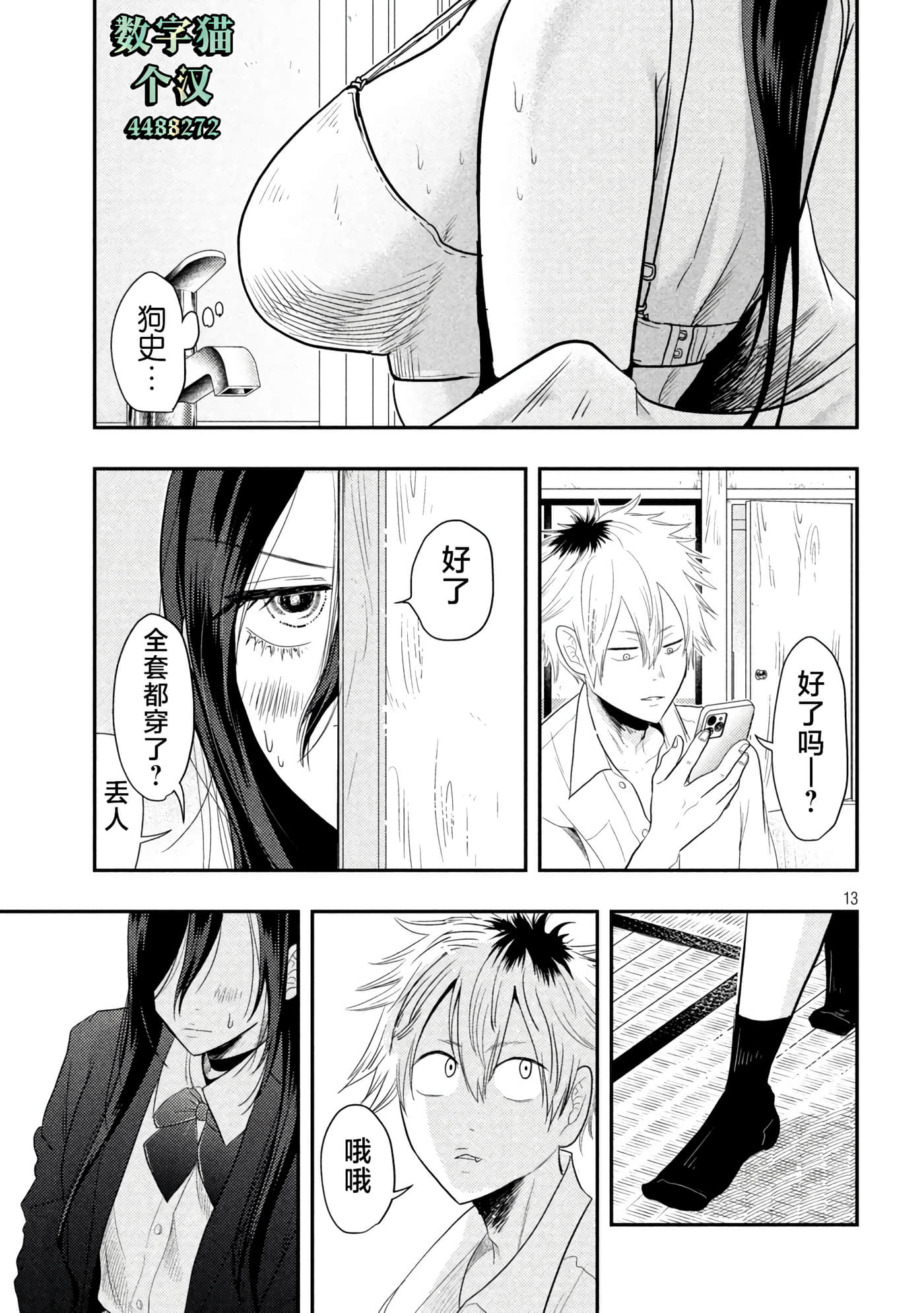 Page 13