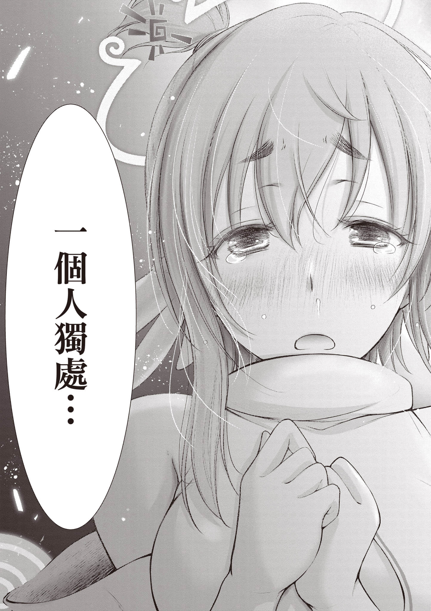 第 100 页