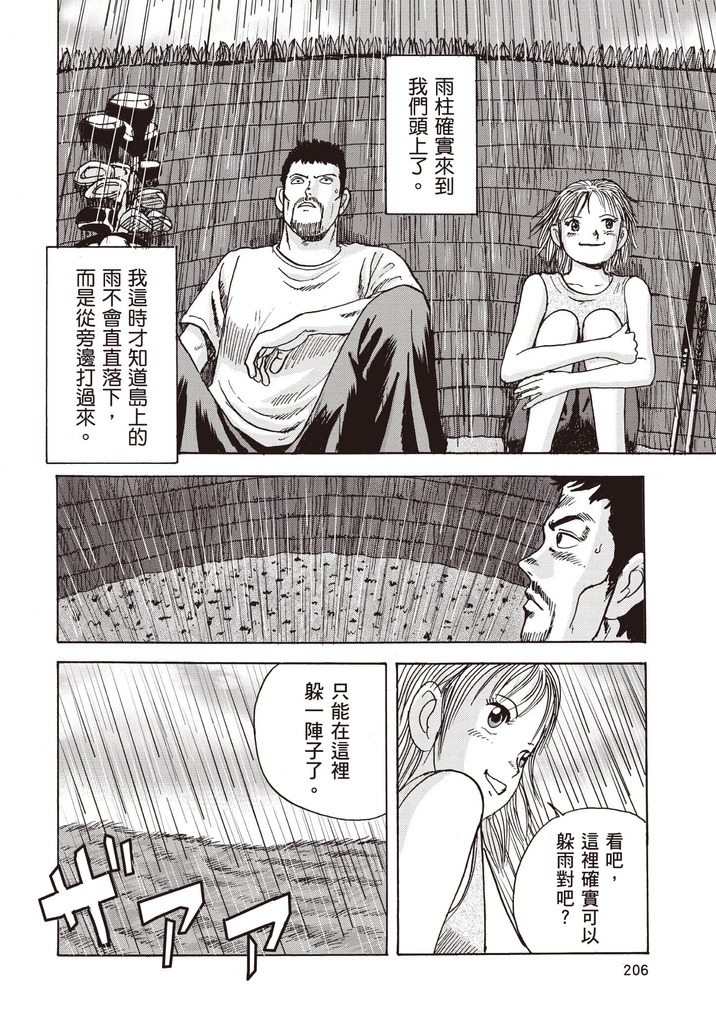 第 207 页