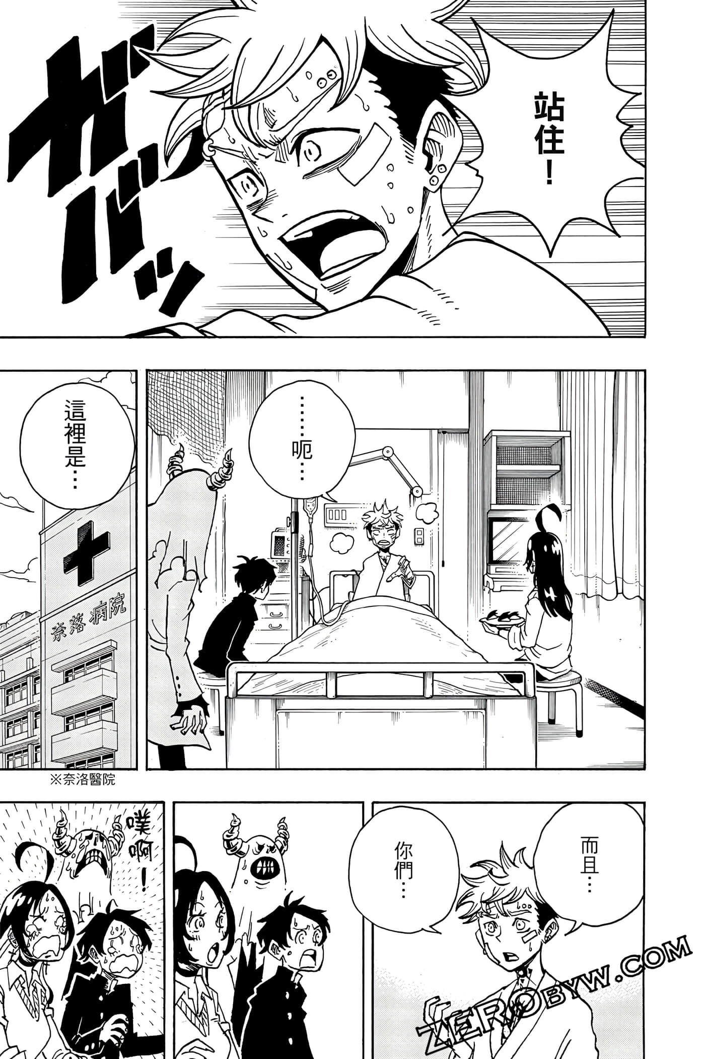 第 110 页