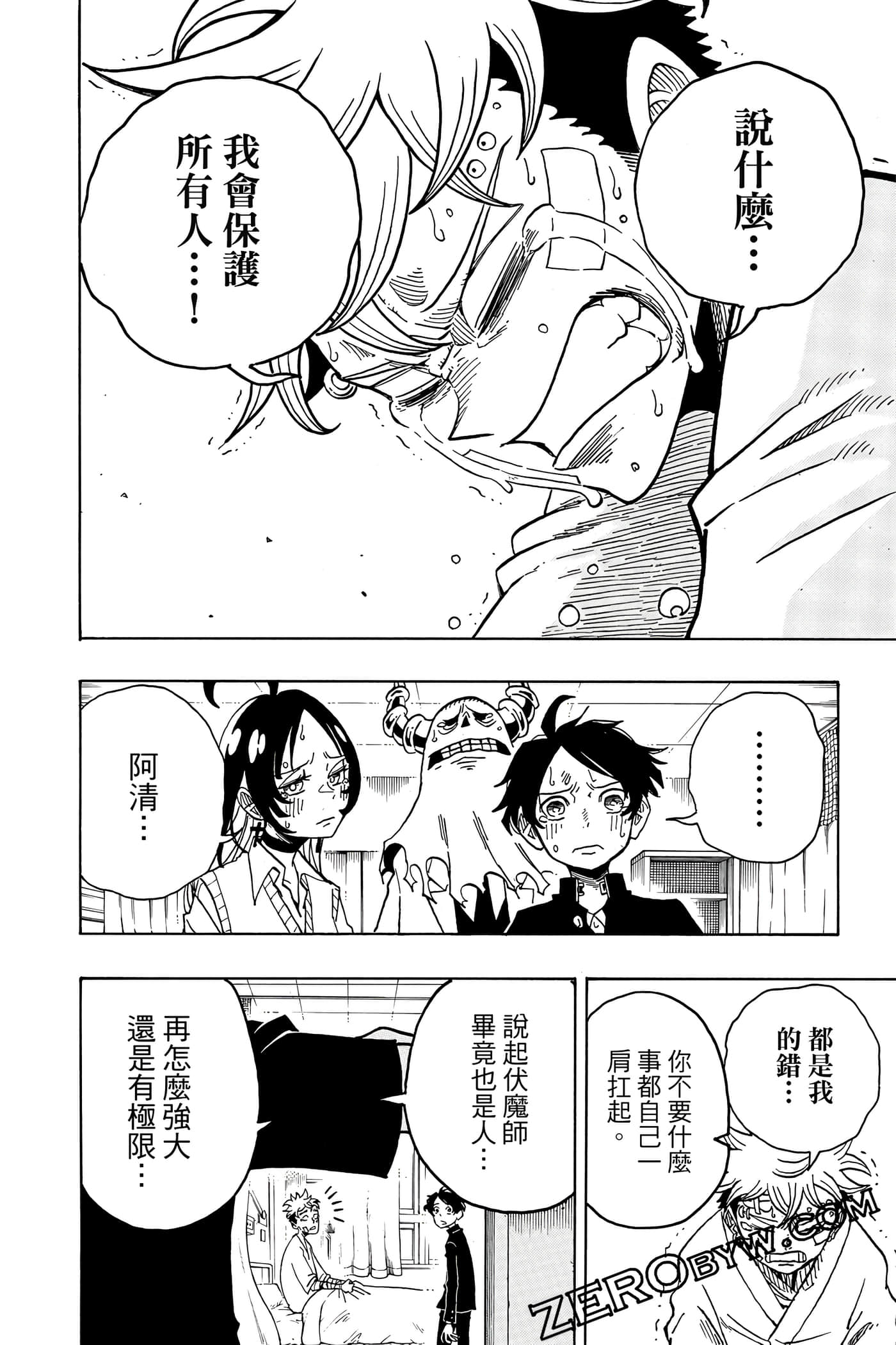 第 113 页