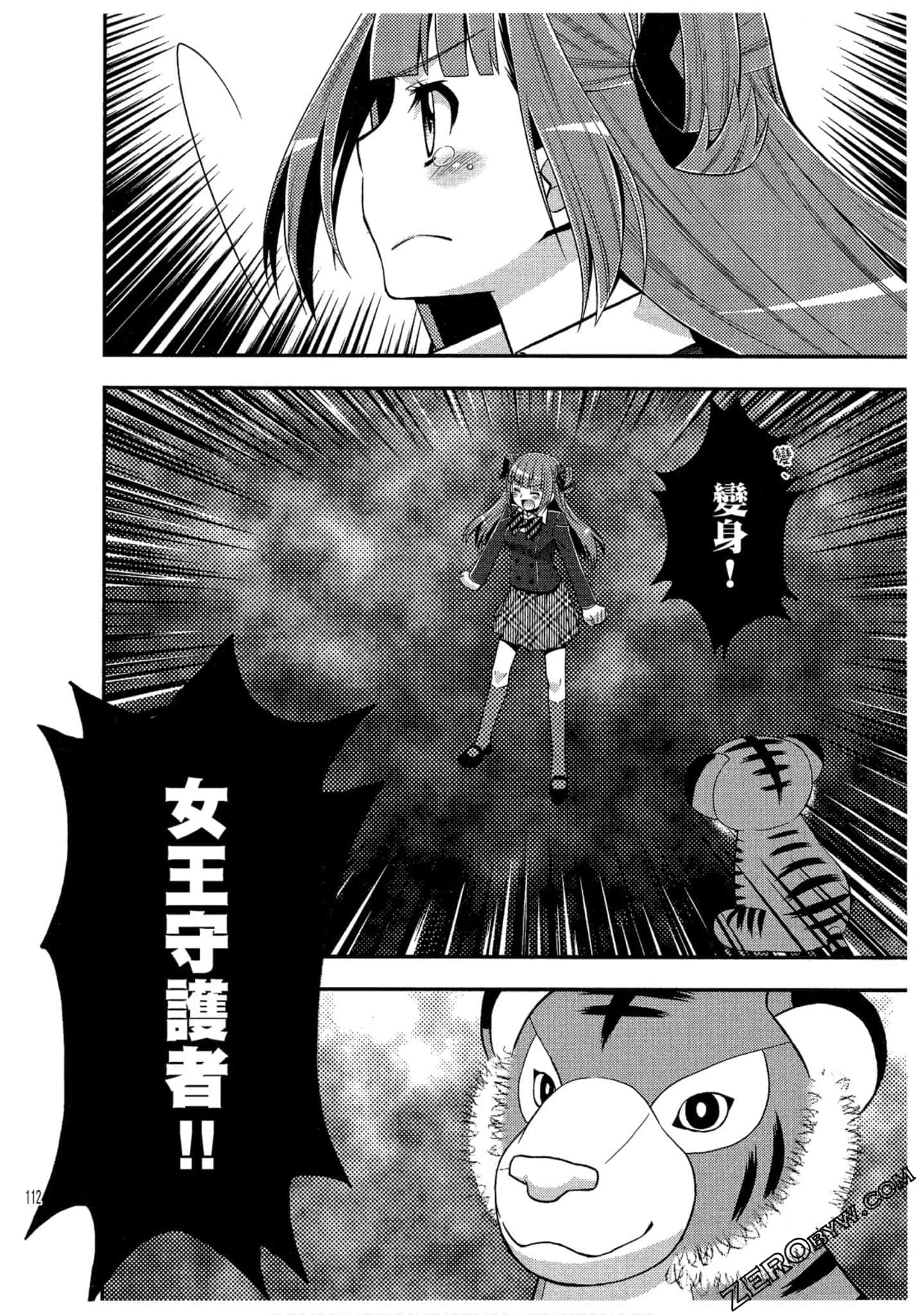 Page 113