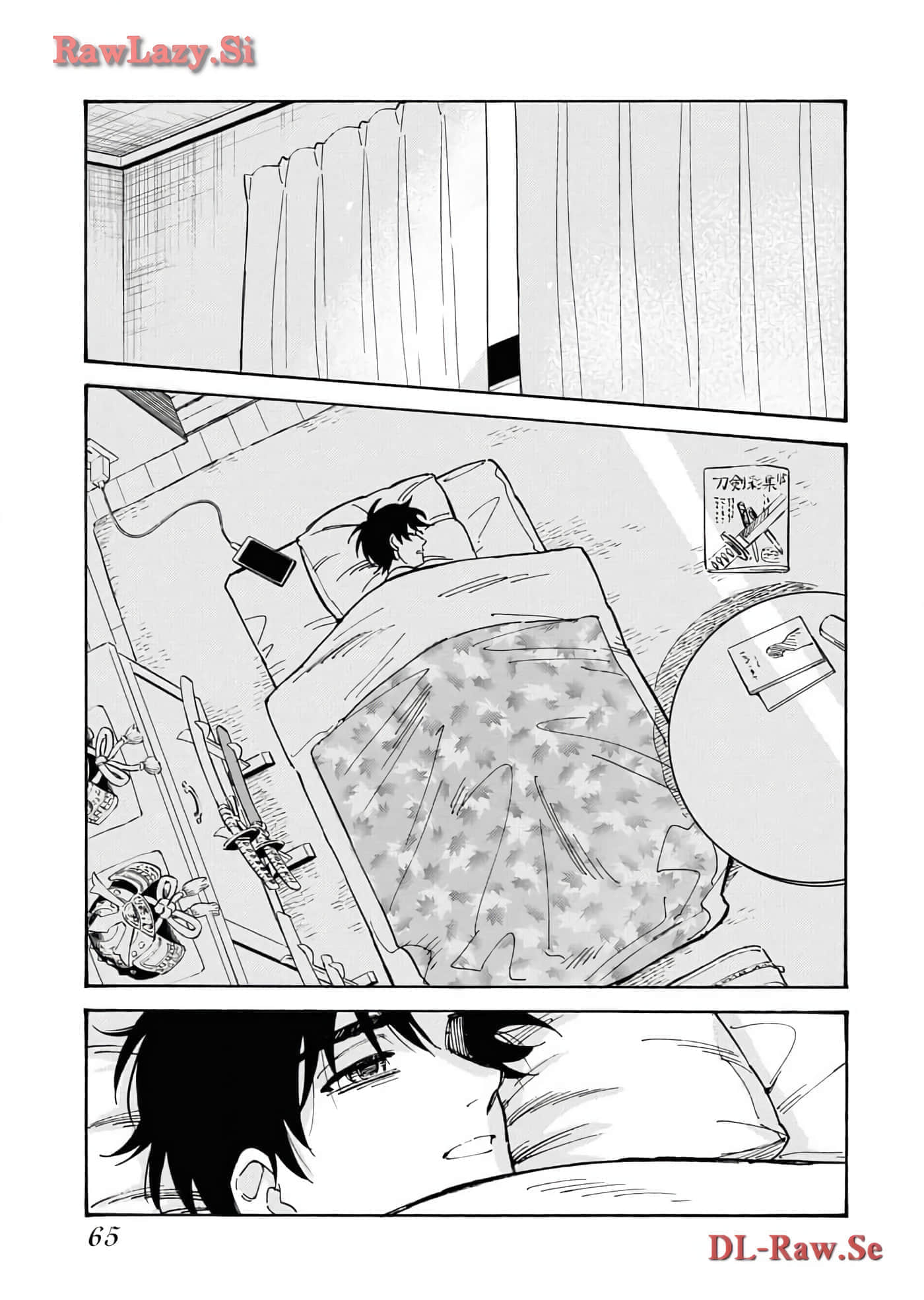 第 67 页